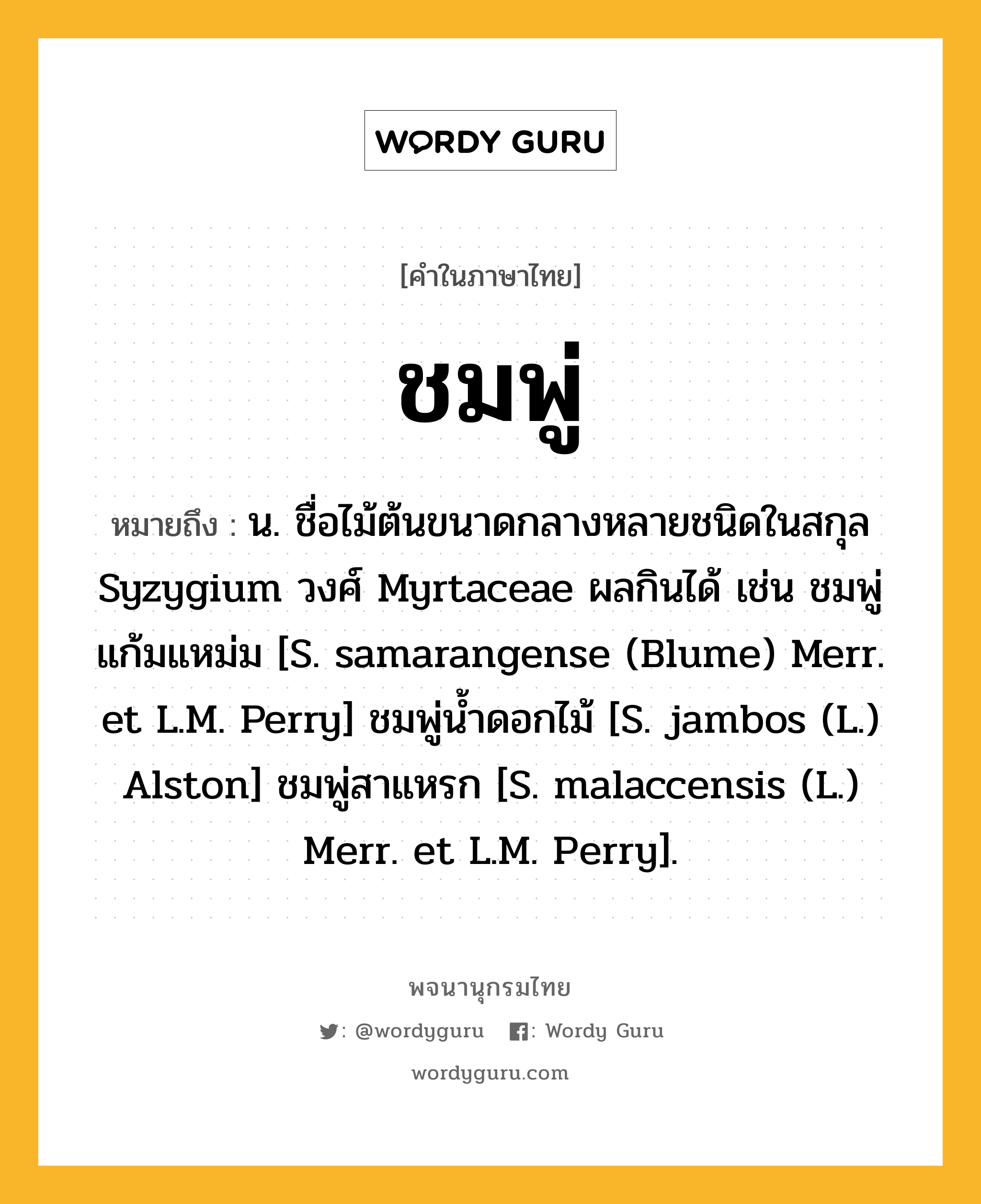 ชมพู่ หมายถึงอะไร?, คำในภาษาไทย ชมพู่ หมายถึง น. ชื่อไม้ต้นขนาดกลางหลายชนิดในสกุล Syzygium วงศ์ Myrtaceae ผลกินได้ เช่น ชมพู่แก้มแหม่ม [S. samarangense (Blume) Merr. et L.M. Perry] ชมพู่นํ้าดอกไม้ [S. jambos (L.) Alston] ชมพู่สาแหรก [S. malaccensis (L.) Merr. et L.M. Perry].