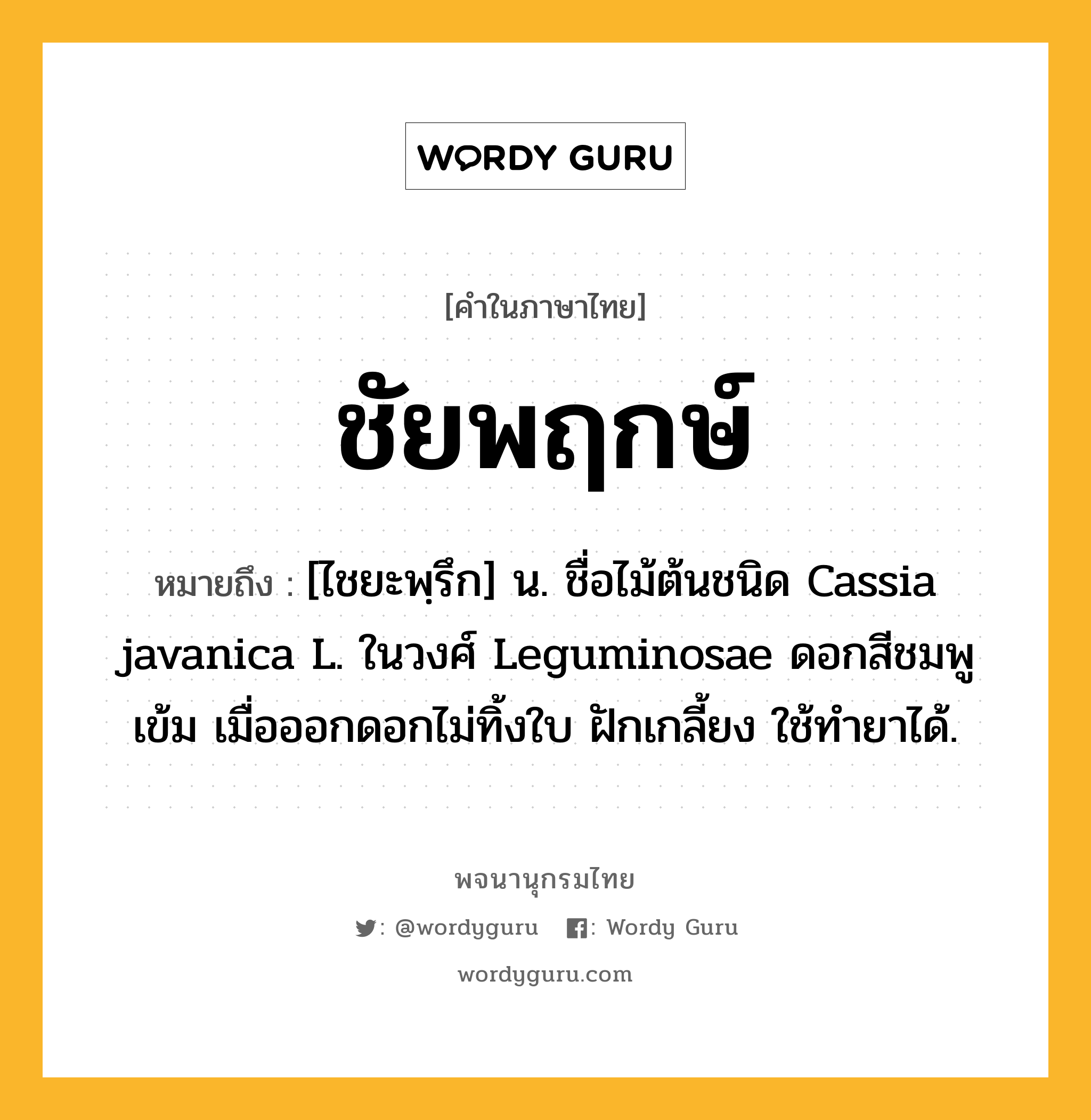 ชัยพฤกษ์ หมายถึงอะไร?, คำในภาษาไทย ชัยพฤกษ์ หมายถึง [ไชยะพฺรึก] น. ชื่อไม้ต้นชนิด Cassia javanica L. ในวงศ์ Leguminosae ดอกสีชมพูเข้ม เมื่อออกดอกไม่ทิ้งใบ ฝักเกลี้ยง ใช้ทํายาได้.