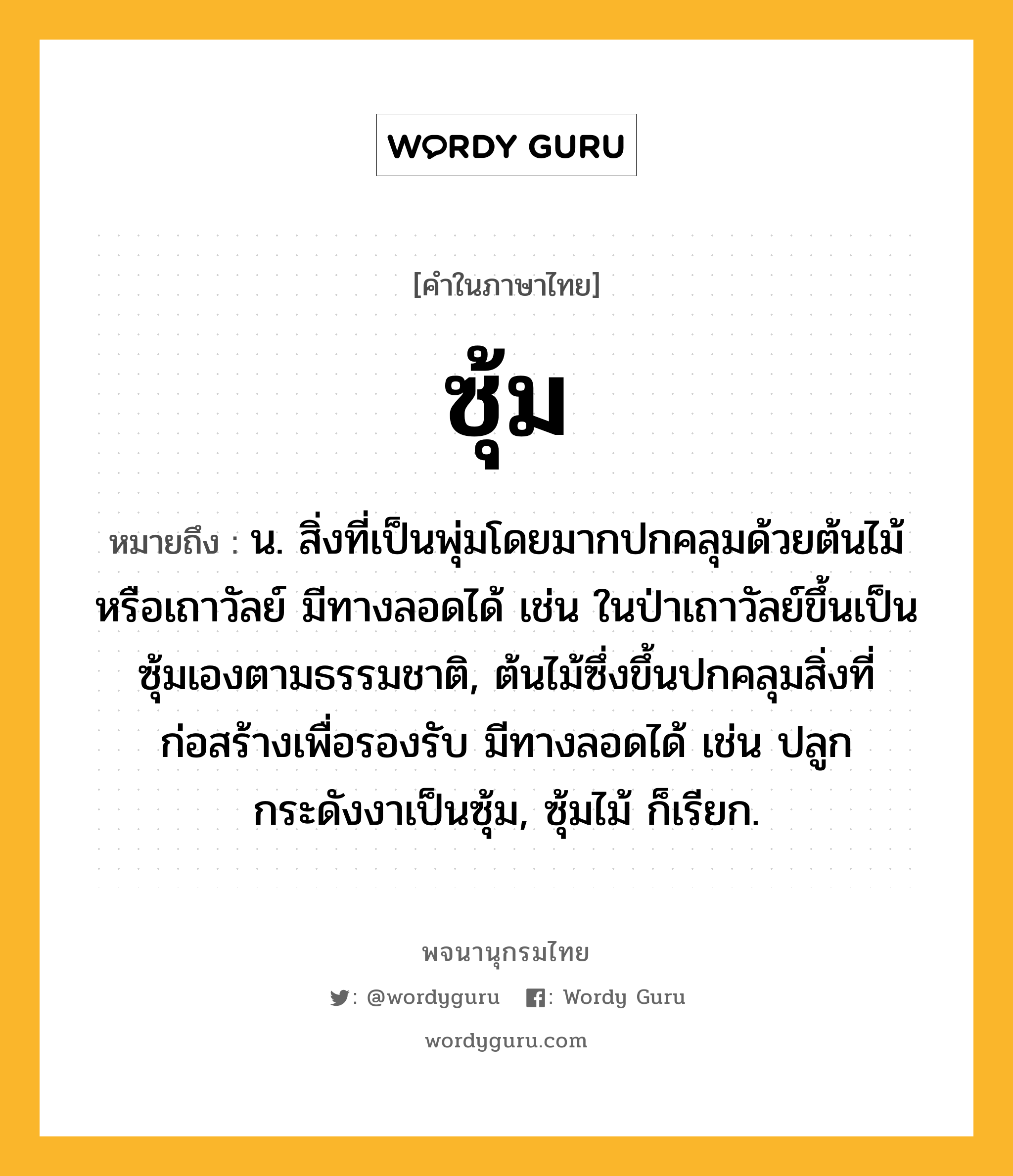 ซุ้ม หมายถึงอะไร?, คำในภาษาไทย ซุ้ม หมายถึง น. สิ่งที่เป็นพุ่มโดยมากปกคลุมด้วยต้นไม้หรือเถาวัลย์ มีทางลอดได้ เช่น ในป่าเถาวัลย์ขึ้นเป็นซุ้มเองตามธรรมชาติ, ต้นไม้ซึ่งขึ้นปกคลุมสิ่งที่ก่อสร้างเพื่อรองรับ มีทางลอดได้ เช่น ปลูกกระดังงาเป็นซุ้ม, ซุ้มไม้ ก็เรียก.