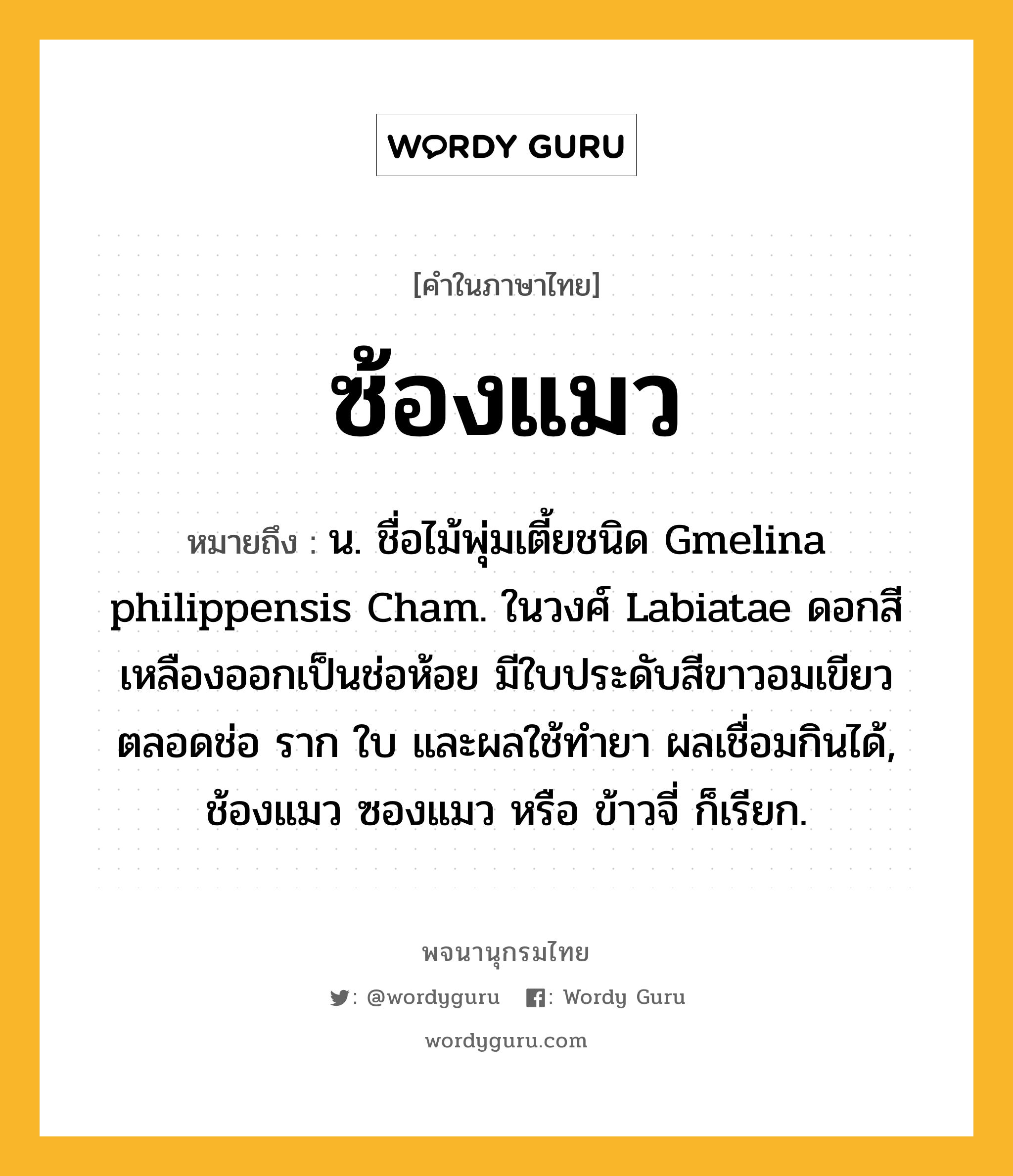 ซ้องแมว หมายถึงอะไร?, คำในภาษาไทย ซ้องแมว หมายถึง น. ชื่อไม้พุ่มเตี้ยชนิด Gmelina philippensis Cham. ในวงศ์ Labiatae ดอกสีเหลืองออกเป็นช่อห้อย มีใบประดับสีขาวอมเขียวตลอดช่อ ราก ใบ และผลใช้ทํายา ผลเชื่อมกินได้, ช้องแมว ซองแมว หรือ ข้าวจี่ ก็เรียก.