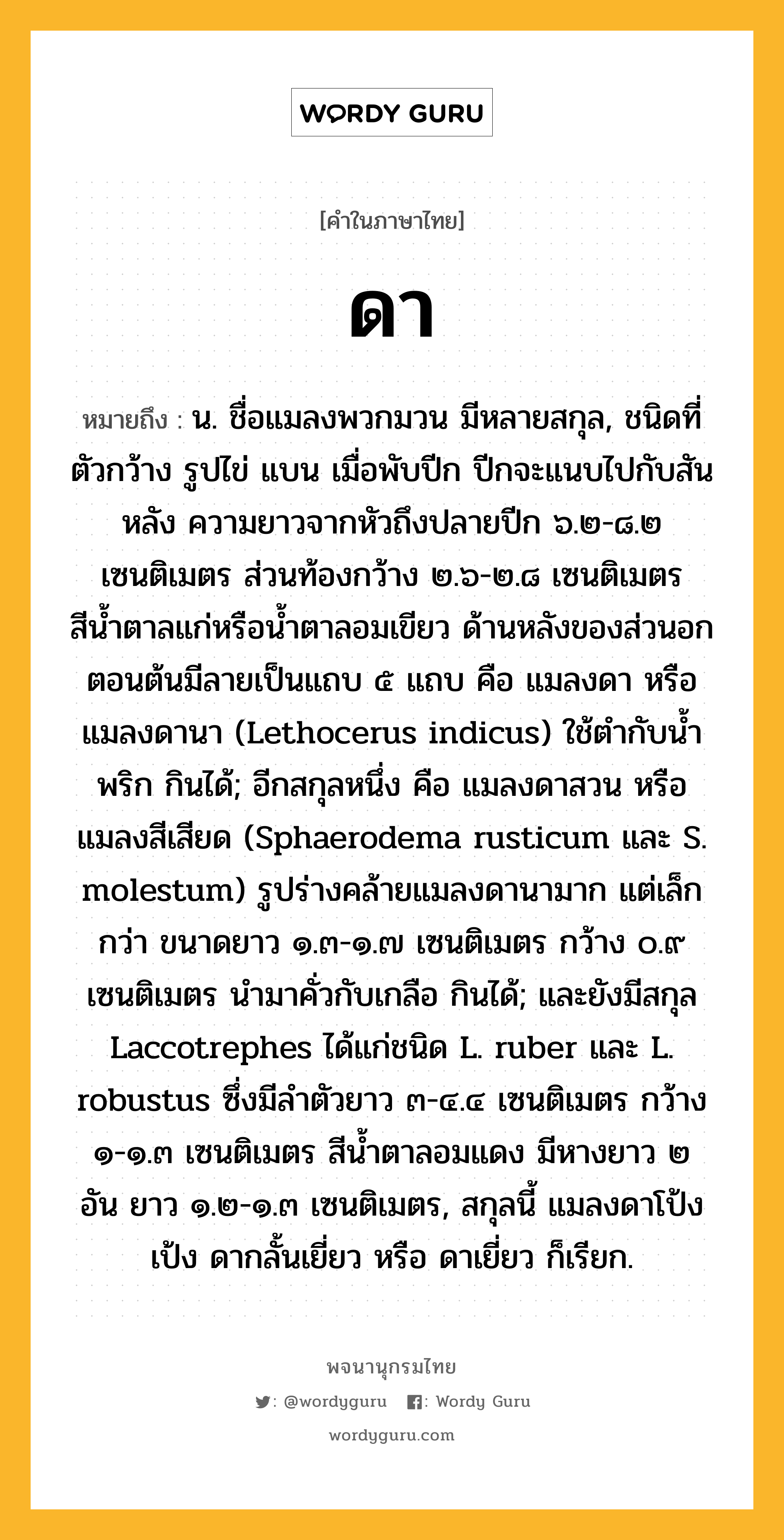 ดา หมายถึงอะไร?, คำในภาษาไทย ดา หมายถึง น. ชื่อแมลงพวกมวน มีหลายสกุล, ชนิดที่ตัวกว้าง รูปไข่ แบน เมื่อพับปีก ปีกจะแนบไปกับสันหลัง ความยาวจากหัวถึงปลายปีก ๖.๒-๘.๒ เซนติเมตร ส่วนท้องกว้าง ๒.๖-๒.๘ เซนติเมตร สีนํ้าตาลแก่หรือนํ้าตาลอมเขียว ด้านหลังของส่วนอกตอนต้นมีลายเป็นแถบ ๕ แถบ คือ แมลงดา หรือ แมลงดานา (Lethocerus indicus) ใช้ตํากับนํ้าพริก กินได้; อีกสกุลหนึ่ง คือ แมลงดาสวน หรือ แมลงสีเสียด (Sphaerodema rusticum และ S. molestum) รูปร่างคล้ายแมลงดานามาก แต่เล็กกว่า ขนาดยาว ๑.๓-๑.๗ เซนติเมตร กว้าง ๐.๙ เซนติเมตร นํามาคั่วกับเกลือ กินได้; และยังมีสกุล Laccotrephes ได้แก่ชนิด L. ruber และ L. robustus ซึ่งมีลําตัวยาว ๓-๔.๔ เซนติเมตร กว้าง ๑-๑.๓ เซนติเมตร สีนํ้าตาลอมแดง มีหางยาว ๒ อัน ยาว ๑.๒-๑.๓ เซนติเมตร, สกุลนี้ แมลงดาโป้งเป้ง ดากลั้นเยี่ยว หรือ ดาเยี่ยว ก็เรียก.