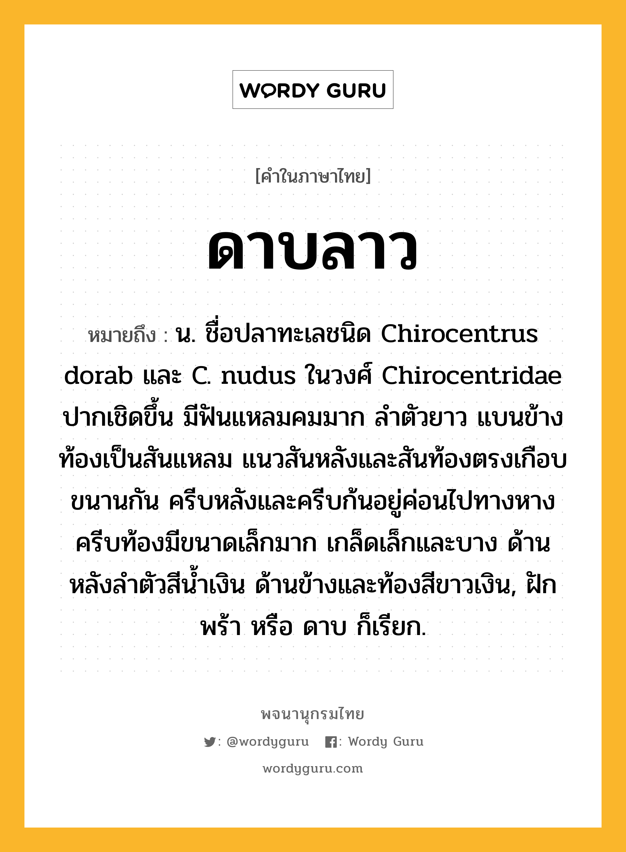 ดาบลาว หมายถึงอะไร?, คำในภาษาไทย ดาบลาว หมายถึง น. ชื่อปลาทะเลชนิด Chirocentrus dorab และ C. nudus ในวงศ์ Chirocentridae ปากเชิดขึ้น มีฟันแหลมคมมาก ลําตัวยาว แบนข้าง ท้องเป็นสันแหลม แนวสันหลังและสันท้องตรงเกือบขนานกัน ครีบหลังและครีบก้นอยู่ค่อนไปทางหาง ครีบท้องมีขนาดเล็กมาก เกล็ดเล็กและบาง ด้านหลังลําตัวสีนํ้าเงิน ด้านข้างและท้องสีขาวเงิน, ฝักพร้า หรือ ดาบ ก็เรียก.