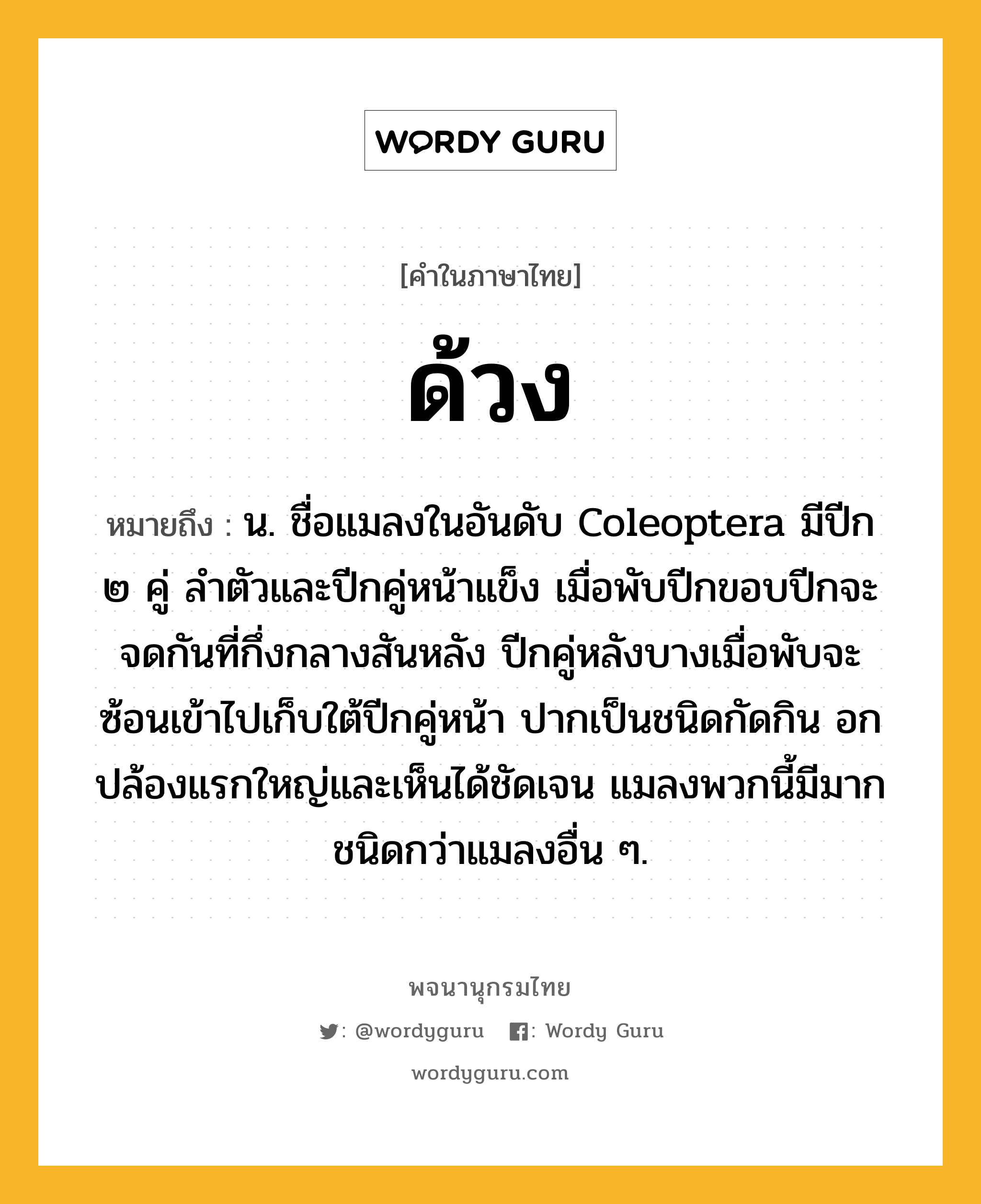 ด้วง หมายถึงอะไร?, คำในภาษาไทย ด้วง หมายถึง น. ชื่อแมลงในอันดับ Coleoptera มีปีก ๒ คู่ ลําตัวและปีกคู่หน้าแข็ง เมื่อพับปีกขอบปีกจะจดกันที่กึ่งกลางสันหลัง ปีกคู่หลังบางเมื่อพับจะซ้อนเข้าไปเก็บใต้ปีกคู่หน้า ปากเป็นชนิดกัดกิน อกปล้องแรกใหญ่และเห็นได้ชัดเจน แมลงพวกนี้มีมากชนิดกว่าแมลงอื่น ๆ.