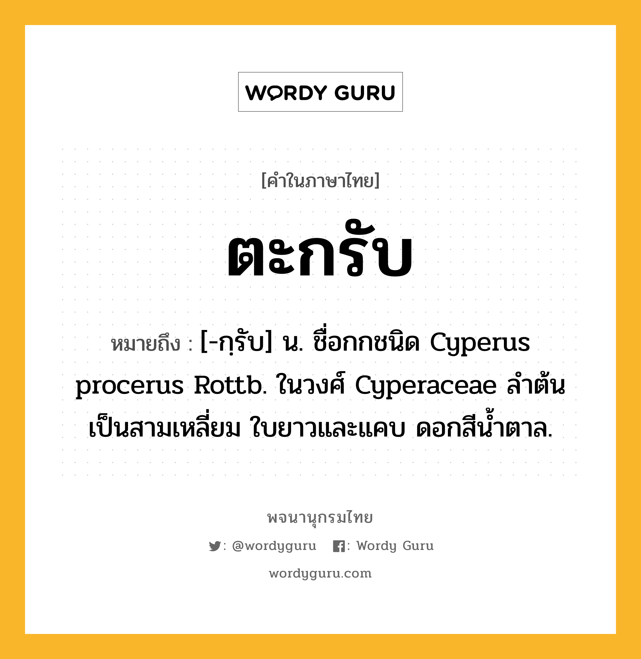 ตะกรับ หมายถึงอะไร?, คำในภาษาไทย ตะกรับ หมายถึง [-กฺรับ] น. ชื่อกกชนิด Cyperus procerus Rottb. ในวงศ์ Cyperaceae ลําต้นเป็นสามเหลี่ยม ใบยาวและแคบ ดอกสีนํ้าตาล.