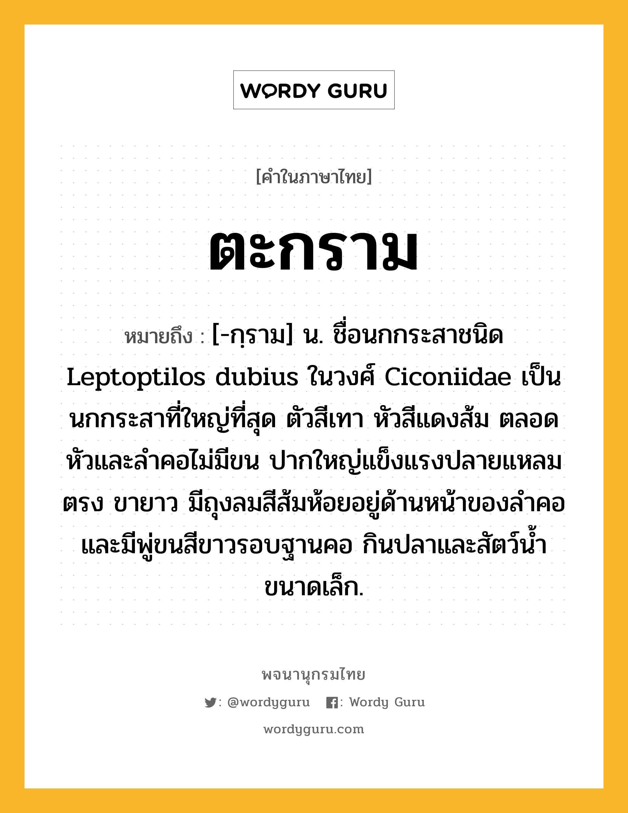 ตะกราม หมายถึงอะไร?, คำในภาษาไทย ตะกราม หมายถึง [-กฺราม] น. ชื่อนกกระสาชนิด Leptoptilos dubius ในวงศ์ Ciconiidae เป็นนกกระสาที่ใหญ่ที่สุด ตัวสีเทา หัวสีแดงส้ม ตลอดหัวและลําคอไม่มีขน ปากใหญ่แข็งแรงปลายแหลมตรง ขายาว มีถุงลมสีส้มห้อยอยู่ด้านหน้าของลําคอ และมีพู่ขนสีขาวรอบฐานคอ กินปลาและสัตว์นํ้าขนาดเล็ก.