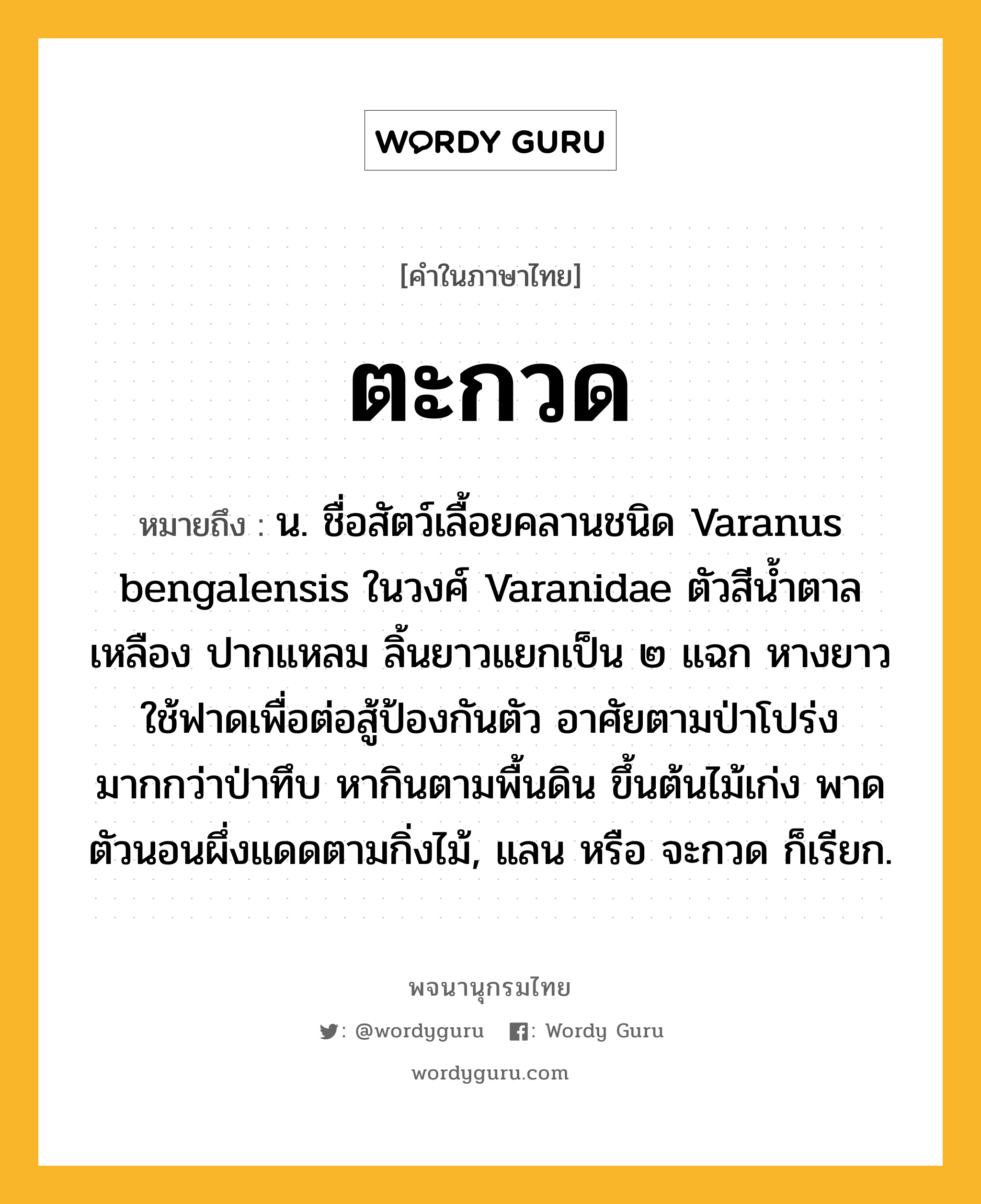 ตะกวด หมายถึงอะไร?, คำในภาษาไทย ตะกวด หมายถึง น. ชื่อสัตว์เลื้อยคลานชนิด Varanus bengalensis ในวงศ์ Varanidae ตัวสีนํ้าตาลเหลือง ปากแหลม ลิ้นยาวแยกเป็น ๒ แฉก หางยาวใช้ฟาดเพื่อต่อสู้ป้องกันตัว อาศัยตามป่าโปร่งมากกว่าป่าทึบ หากินตามพื้นดิน ขึ้นต้นไม้เก่ง พาดตัวนอนผึ่งแดดตามกิ่งไม้, แลน หรือ จะกวด ก็เรียก.