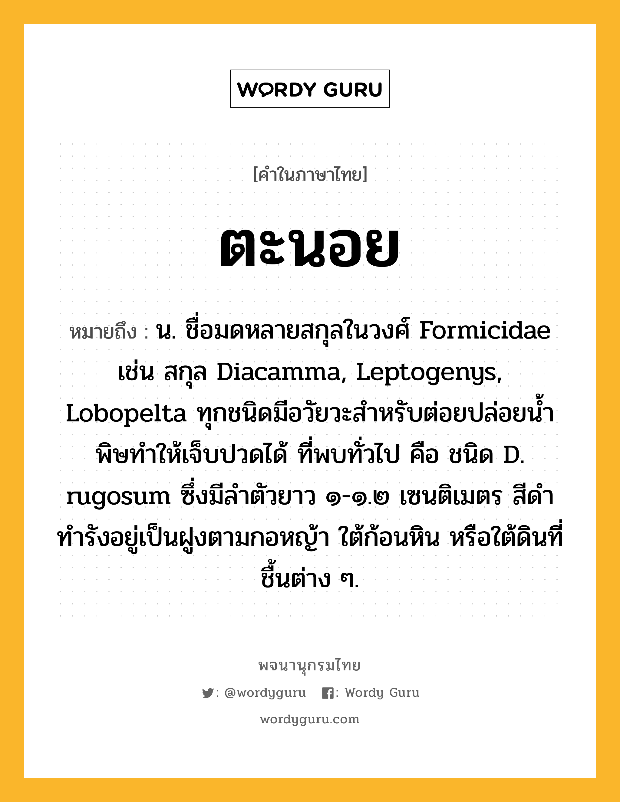 ตะนอย หมายถึงอะไร?, คำในภาษาไทย ตะนอย หมายถึง น. ชื่อมดหลายสกุลในวงศ์ Formicidae เช่น สกุล Diacamma, Leptogenys, Lobopelta ทุกชนิดมีอวัยวะสําหรับต่อยปล่อยนํ้าพิษทําให้เจ็บปวดได้ ที่พบทั่วไป คือ ชนิด D. rugosum ซึ่งมีลําตัวยาว ๑-๑.๒ เซนติเมตร สีดํา ทํารังอยู่เป็นฝูงตามกอหญ้า ใต้ก้อนหิน หรือใต้ดินที่ชื้นต่าง ๆ.