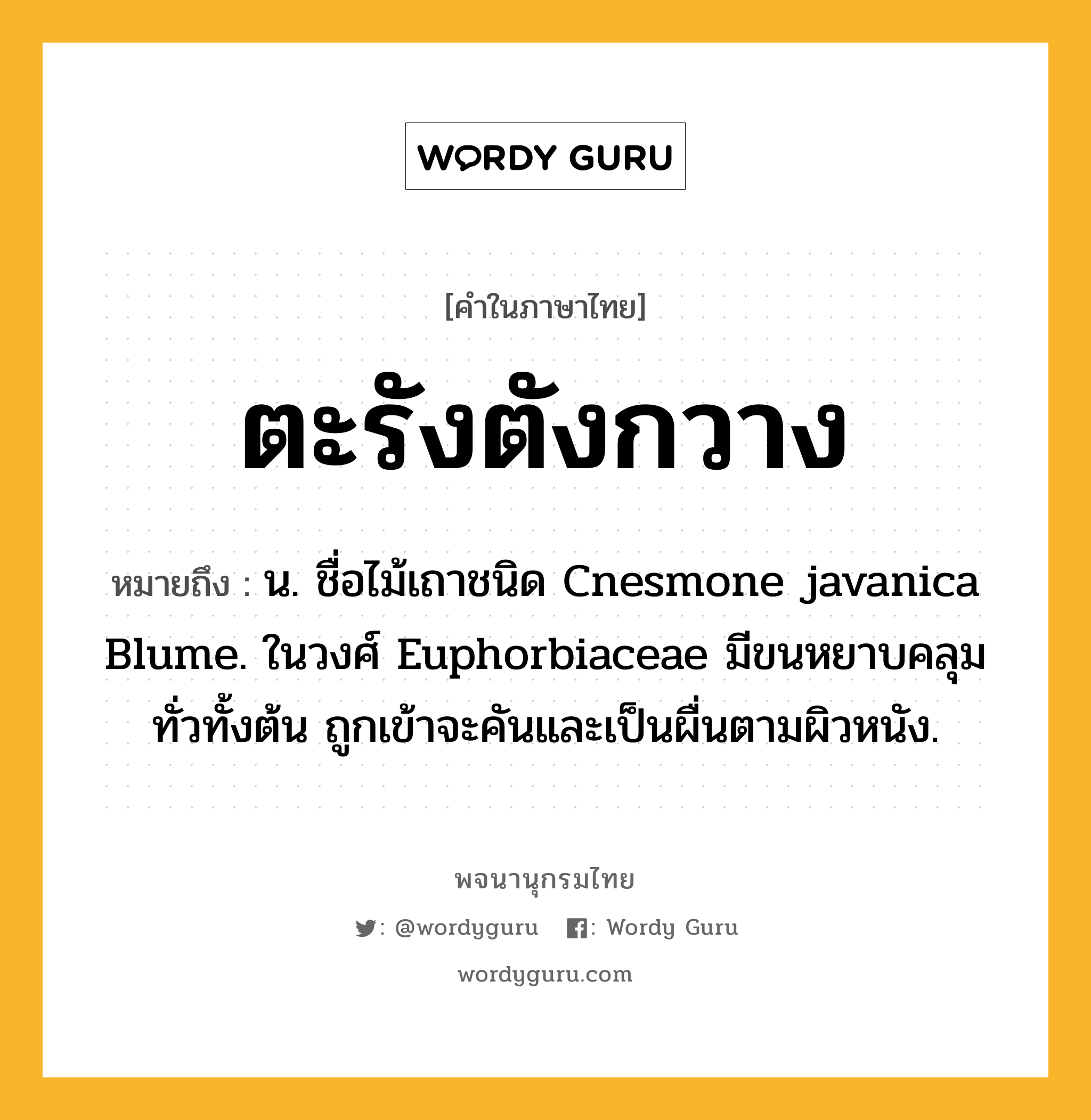 ตะรังตังกวาง หมายถึงอะไร?, คำในภาษาไทย ตะรังตังกวาง หมายถึง น. ชื่อไม้เถาชนิด Cnesmone javanica Blume. ในวงศ์ Euphorbiaceae มีขนหยาบคลุมทั่วทั้งต้น ถูกเข้าจะคันและเป็นผื่นตามผิวหนัง.