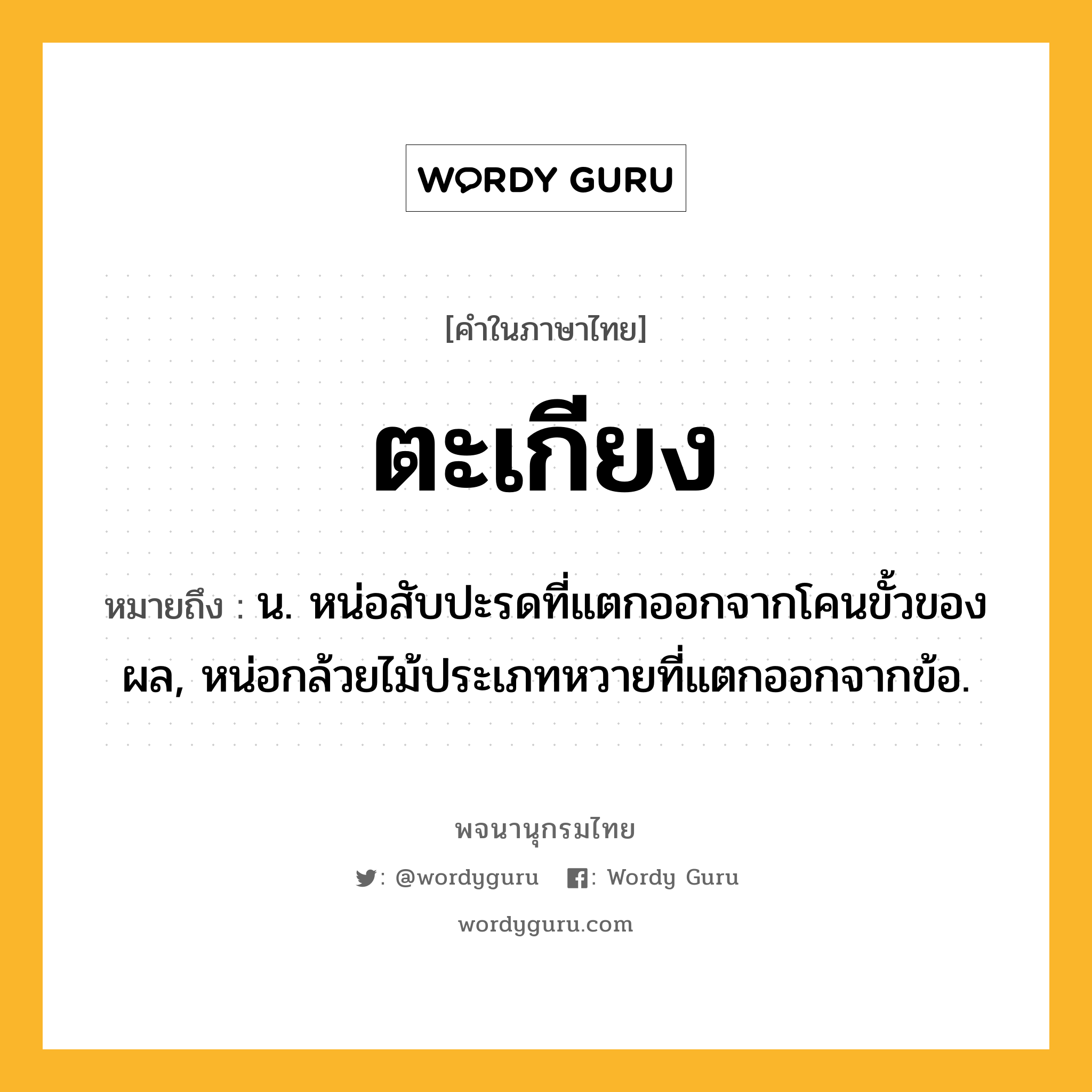 ตะเกียง หมายถึงอะไร?, คำในภาษาไทย ตะเกียง หมายถึง น. หน่อสับปะรดที่แตกออกจากโคนขั้วของผล, หน่อกล้วยไม้ประเภทหวายที่แตกออกจากข้อ.