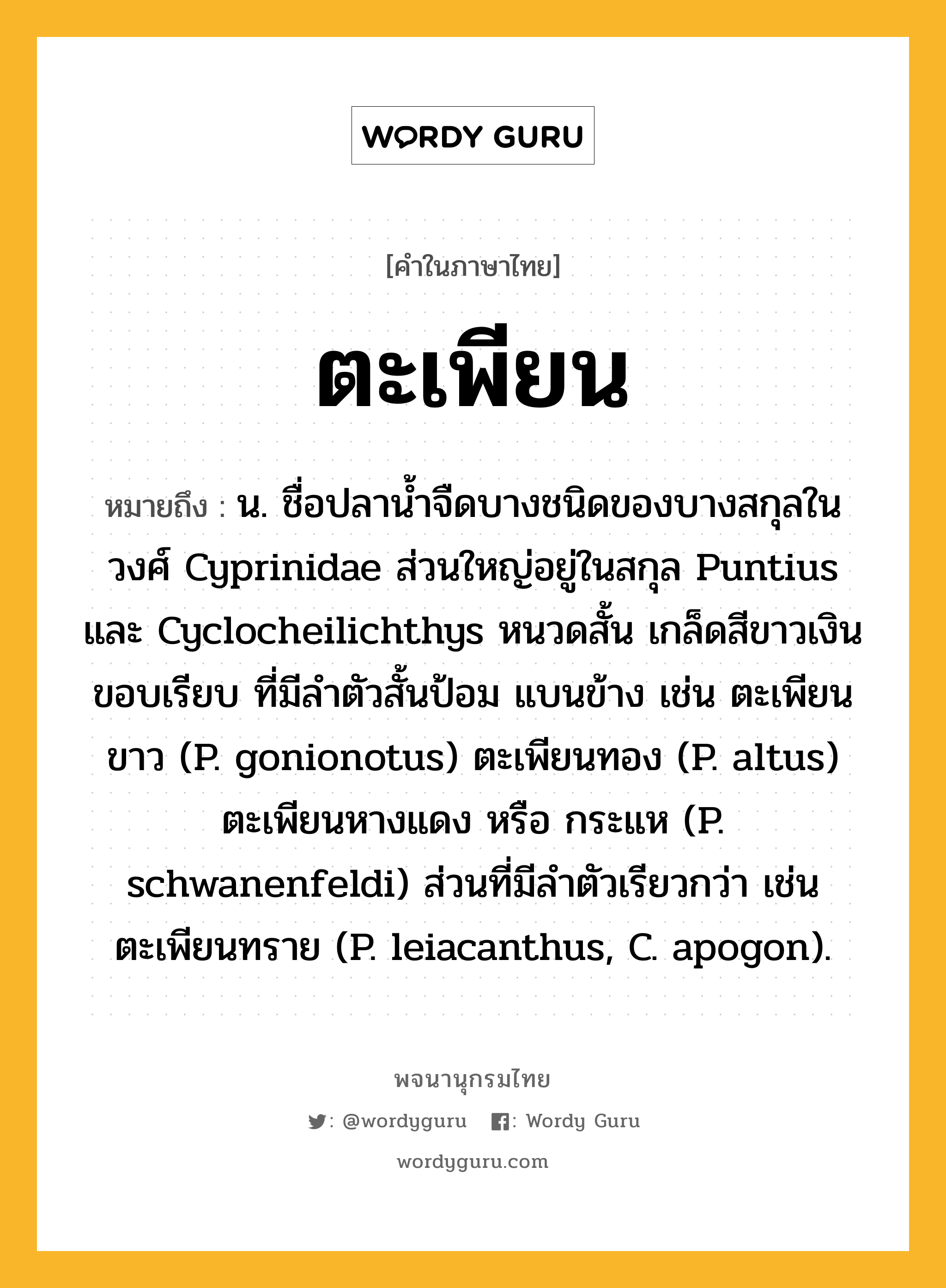 ตะเพียน หมายถึงอะไร?, คำในภาษาไทย ตะเพียน หมายถึง น. ชื่อปลานํ้าจืดบางชนิดของบางสกุลในวงศ์ Cyprinidae ส่วนใหญ่อยู่ในสกุล Puntius และ Cyclocheilichthys หนวดสั้น เกล็ดสีขาวเงินขอบเรียบ ที่มีลําตัวสั้นป้อม แบนข้าง เช่น ตะเพียนขาว (P. gonionotus) ตะเพียนทอง (P. altus) ตะเพียนหางแดง หรือ กระแห (P. schwanenfeldi) ส่วนที่มีลําตัวเรียวกว่า เช่น ตะเพียนทราย (P. leiacanthus, C. apogon).