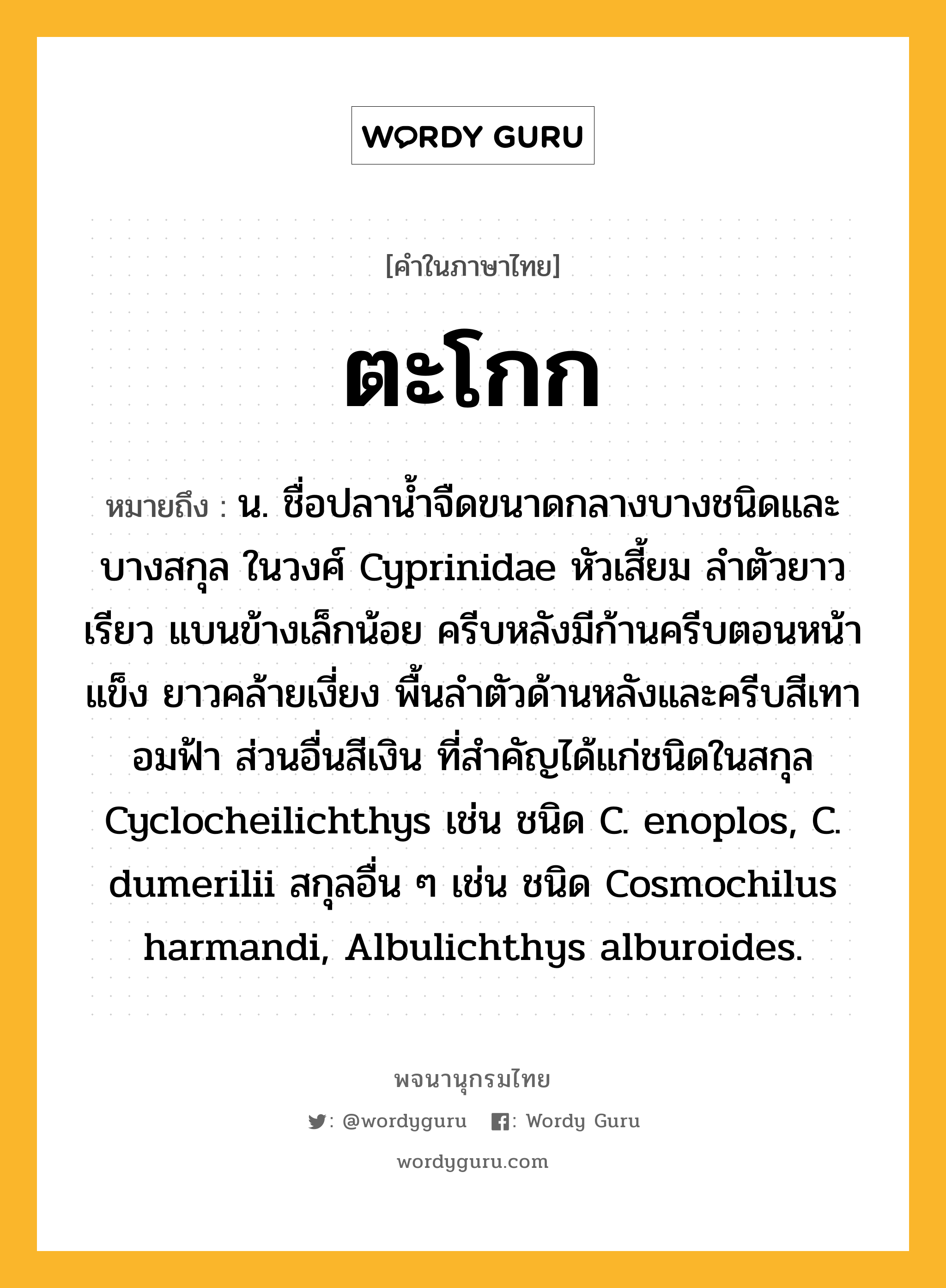 ตะโกก หมายถึงอะไร?, คำในภาษาไทย ตะโกก หมายถึง น. ชื่อปลานํ้าจืดขนาดกลางบางชนิดและบางสกุล ในวงศ์ Cyprinidae หัวเสี้ยม ลําตัวยาวเรียว แบนข้างเล็กน้อย ครีบหลังมีก้านครีบตอนหน้าแข็ง ยาวคล้ายเงี่ยง พื้นลําตัวด้านหลังและครีบสีเทาอมฟ้า ส่วนอื่นสีเงิน ที่สําคัญได้แก่ชนิดในสกุล Cyclocheilichthys เช่น ชนิด C. enoplos, C. dumerilii สกุลอื่น ๆ เช่น ชนิด Cosmochilus harmandi, Albulichthys alburoides.