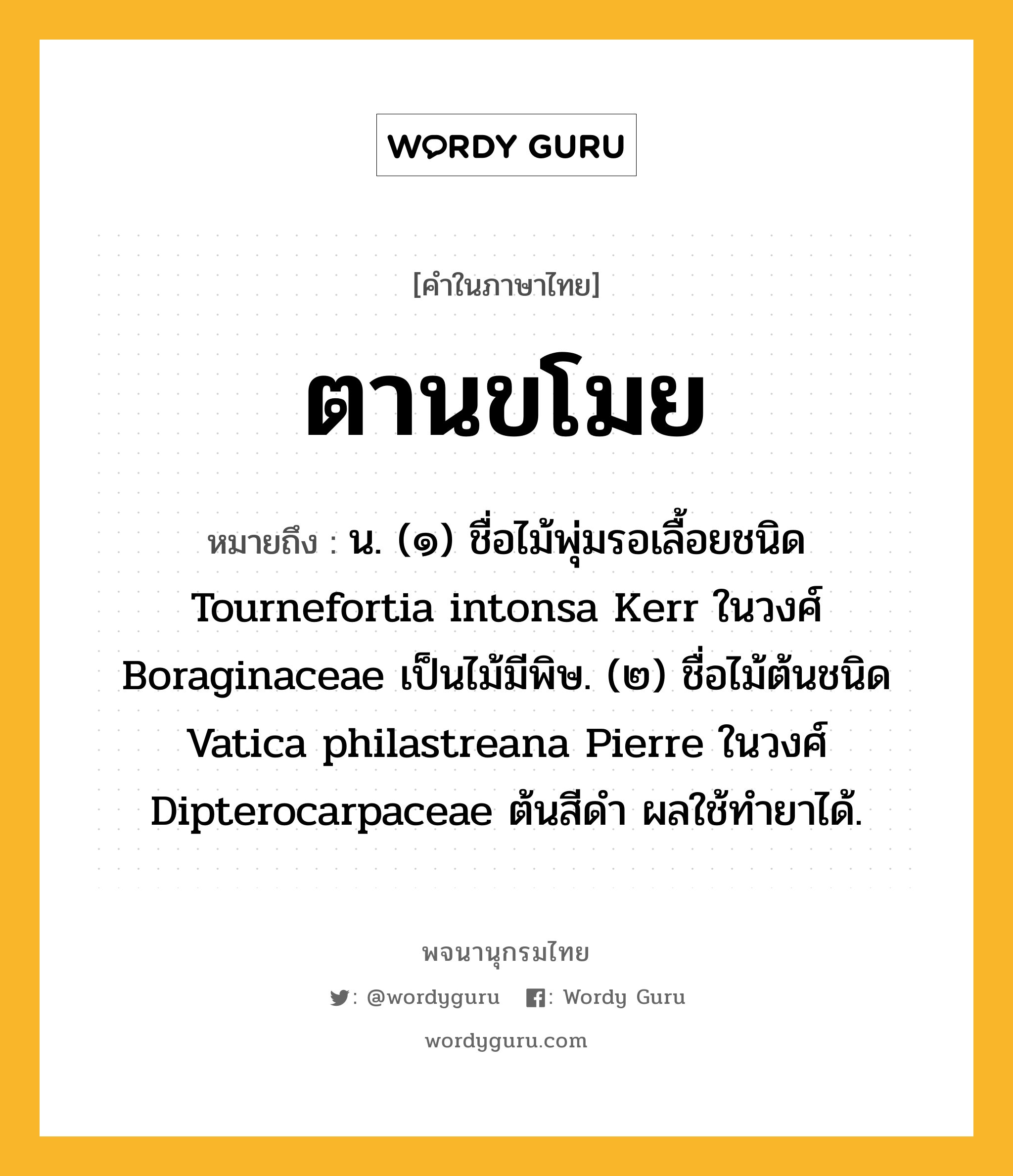 ตานขโมย หมายถึงอะไร?, คำในภาษาไทย ตานขโมย หมายถึง น. (๑) ชื่อไม้พุ่มรอเลื้อยชนิด Tournefortia intonsa Kerr ในวงศ์ Boraginaceae เป็นไม้มีพิษ. (๒) ชื่อไม้ต้นชนิด Vatica philastreana Pierre ในวงศ์ Dipterocarpaceae ต้นสีดํา ผลใช้ทํายาได้.