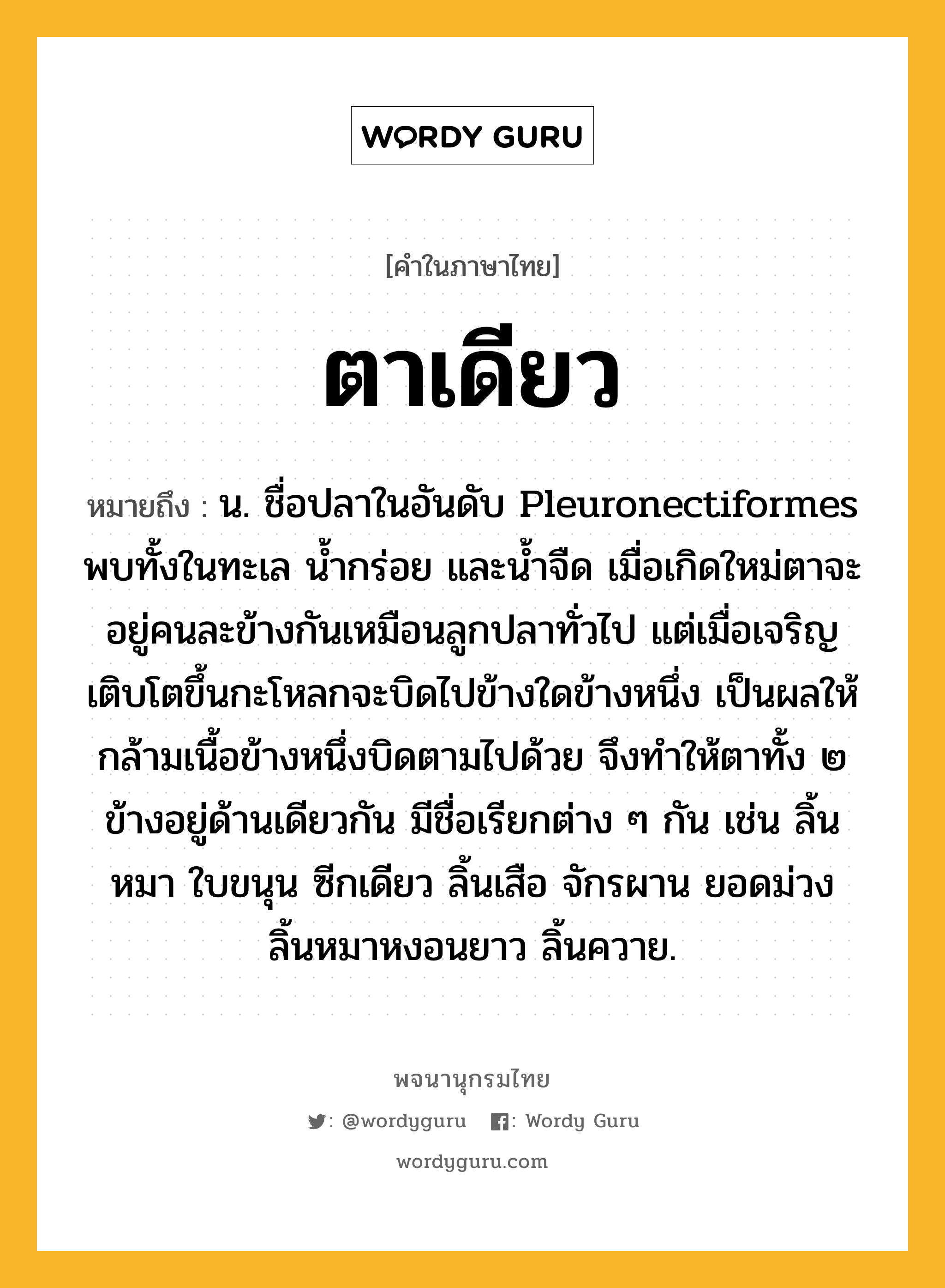 ตาเดียว หมายถึงอะไร?, คำในภาษาไทย ตาเดียว หมายถึง น. ชื่อปลาในอันดับ Pleuronectiformes พบทั้งในทะเล นํ้ากร่อย และนํ้าจืด เมื่อเกิดใหม่ตาจะอยู่คนละข้างกันเหมือนลูกปลาทั่วไป แต่เมื่อเจริญเติบโตขึ้นกะโหลกจะบิดไปข้างใดข้างหนึ่ง เป็นผลให้กล้ามเนื้อข้างหนึ่งบิดตามไปด้วย จึงทำให้ตาทั้ง ๒ ข้างอยู่ด้านเดียวกัน มีชื่อเรียกต่าง ๆ กัน เช่น ลิ้นหมา ใบขนุน ซีกเดียว ลิ้นเสือ จักรผาน ยอดม่วง ลิ้นหมาหงอนยาว ลิ้นควาย.