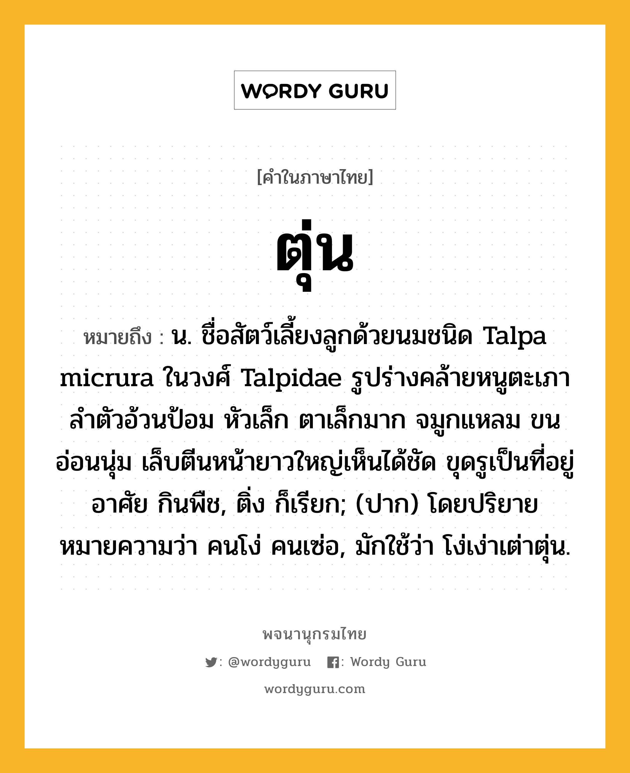 ตุ่น หมายถึงอะไร?, คำในภาษาไทย ตุ่น หมายถึง น. ชื่อสัตว์เลี้ยงลูกด้วยนมชนิด Talpa micrura ในวงศ์ Talpidae รูปร่างคล้ายหนูตะเภา ลำตัวอ้วนป้อม หัวเล็ก ตาเล็กมาก จมูกแหลม ขนอ่อนนุ่ม เล็บตีนหน้ายาวใหญ่เห็นได้ชัด ขุดรูเป็นที่อยู่อาศัย กินพืช, ติ่ง ก็เรียก; (ปาก) โดยปริยายหมายความว่า คนโง่ คนเซ่อ, มักใช้ว่า โง่เง่าเต่าตุ่น.