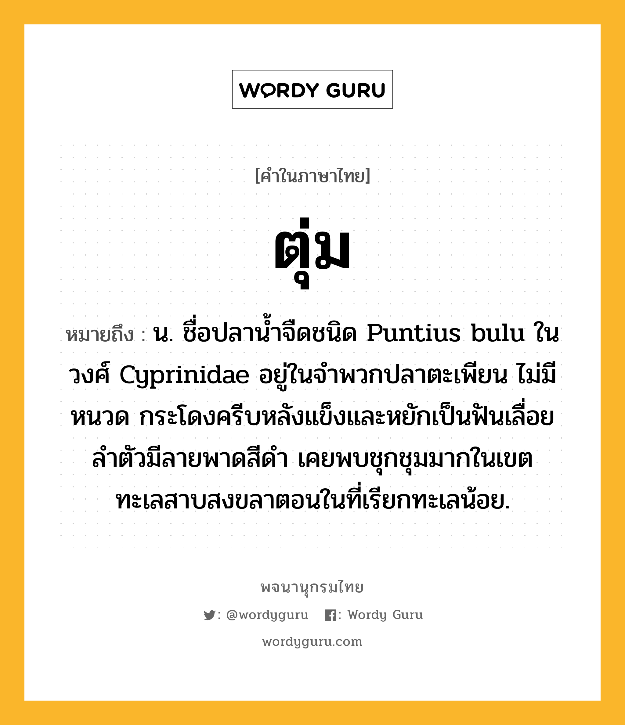 ตุ่ม หมายถึงอะไร?, คำในภาษาไทย ตุ่ม หมายถึง น. ชื่อปลานํ้าจืดชนิด Puntius bulu ในวงศ์ Cyprinidae อยู่ในจําพวกปลาตะเพียน ไม่มีหนวด กระโดงครีบหลังแข็งและหยักเป็นฟันเลื่อย ลําตัวมีลายพาดสีดํา เคยพบชุกชุมมากในเขตทะเลสาบสงขลาตอนในที่เรียกทะเลน้อย.