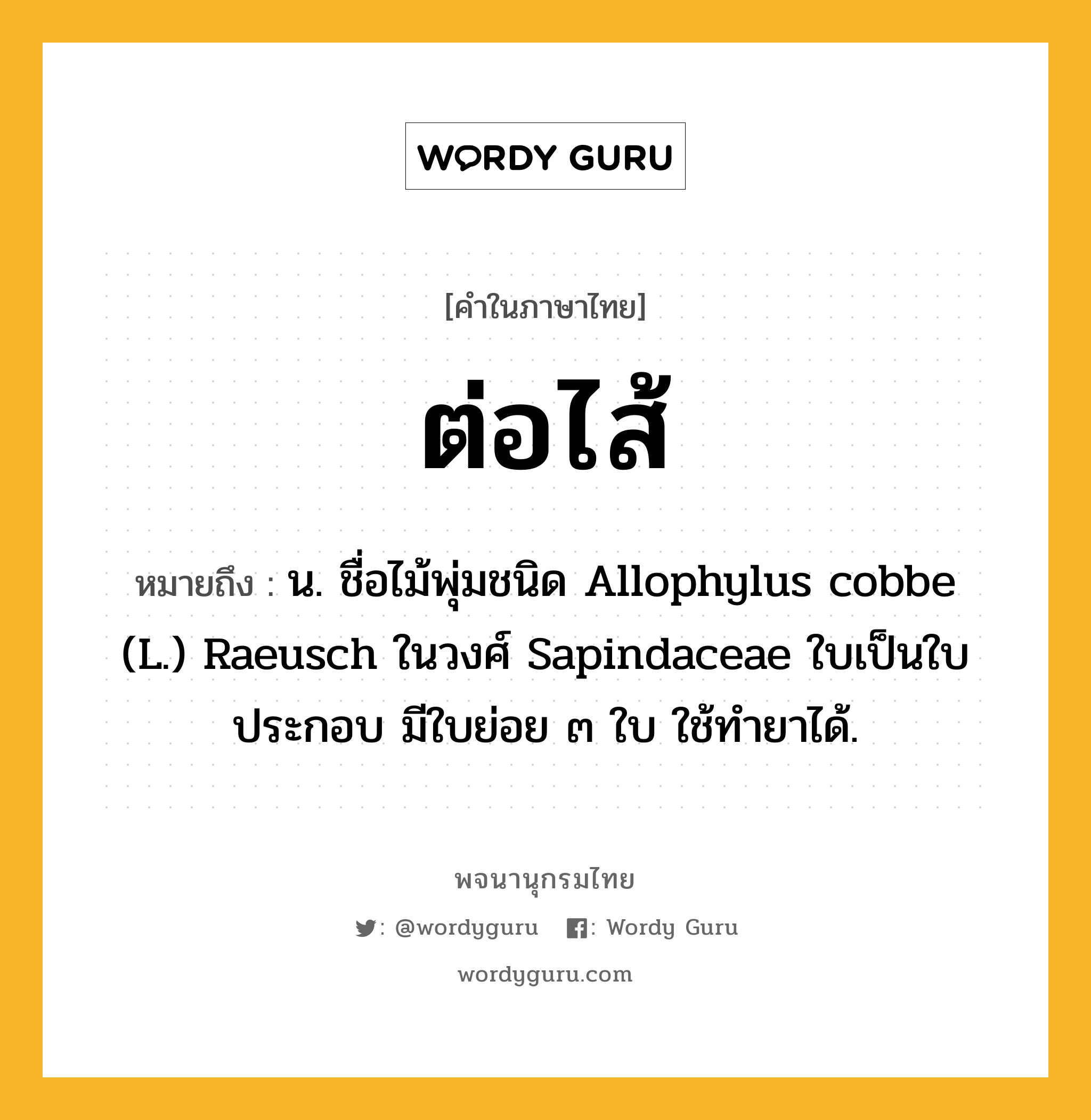 ต่อไส้ หมายถึงอะไร?, คำในภาษาไทย ต่อไส้ หมายถึง น. ชื่อไม้พุ่มชนิด Allophylus cobbe (L.) Raeusch ในวงศ์ Sapindaceae ใบเป็นใบประกอบ มีใบย่อย ๓ ใบ ใช้ทํายาได้.