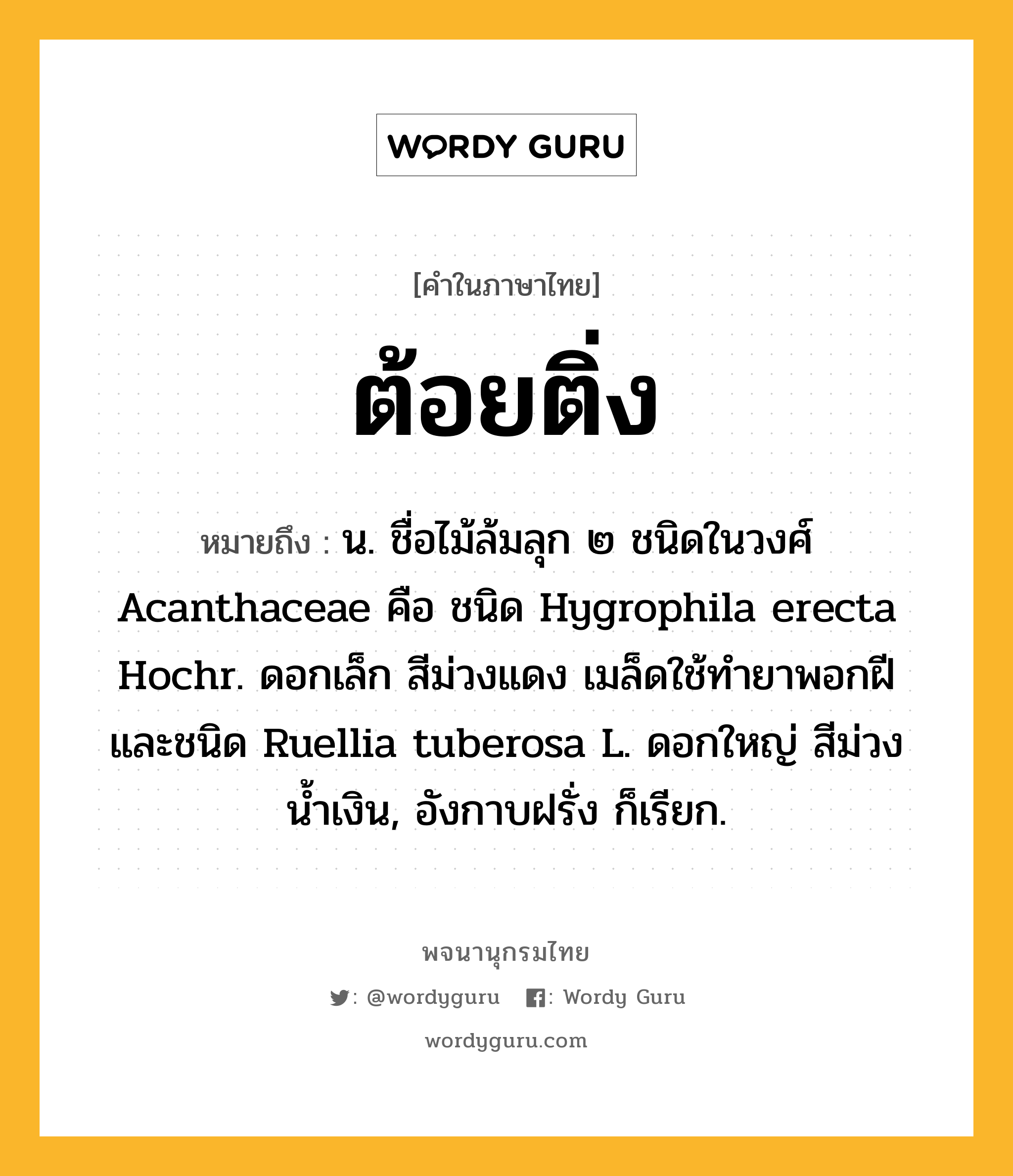 ต้อยติ่ง หมายถึงอะไร?, คำในภาษาไทย ต้อยติ่ง หมายถึง น. ชื่อไม้ล้มลุก ๒ ชนิดในวงศ์ Acanthaceae คือ ชนิด Hygrophila erecta Hochr. ดอกเล็ก สีม่วงแดง เมล็ดใช้ทํายาพอกฝี และชนิด Ruellia tuberosa L. ดอกใหญ่ สีม่วงนํ้าเงิน, อังกาบฝรั่ง ก็เรียก.