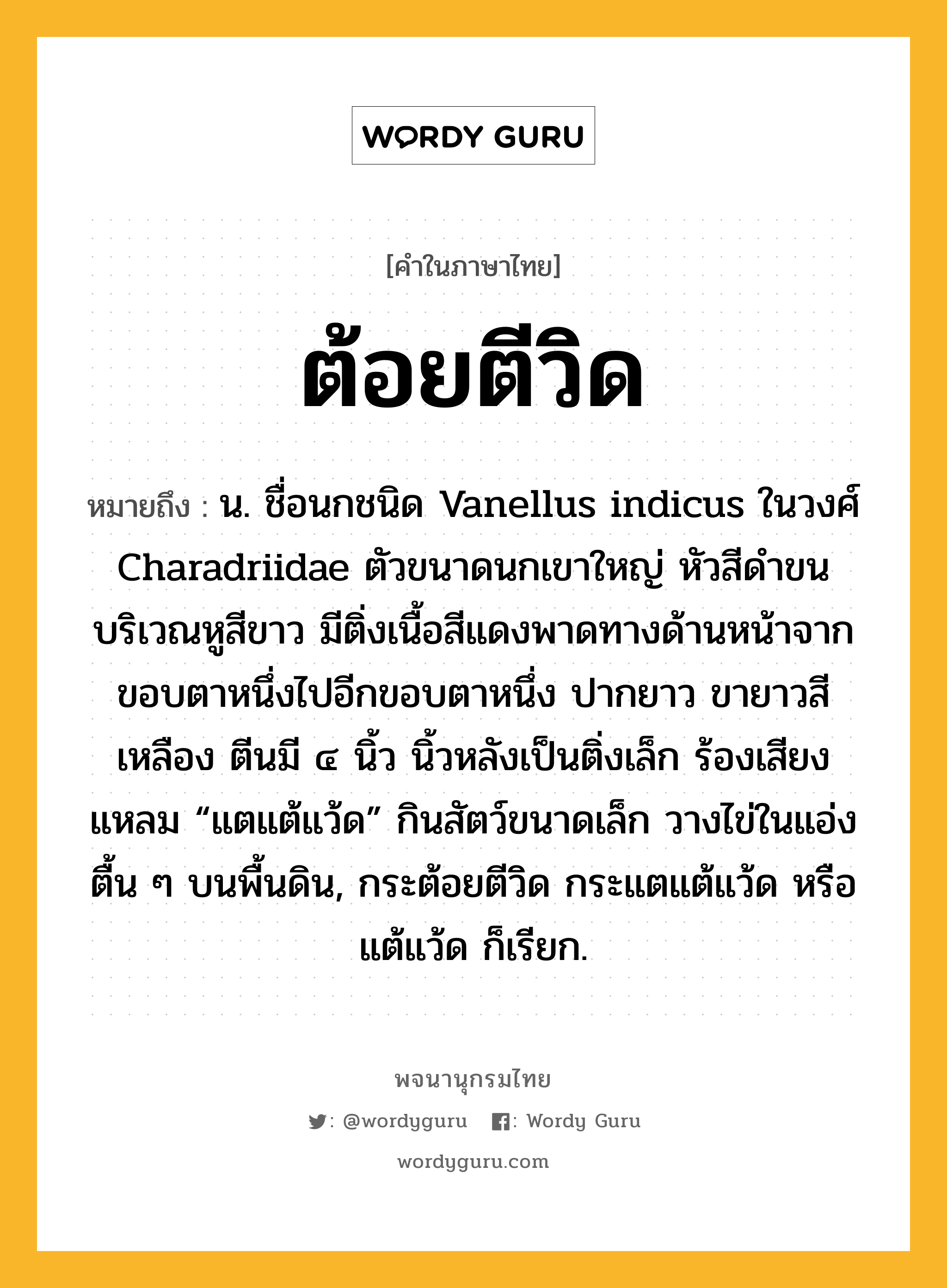 ต้อยตีวิด หมายถึงอะไร?, คำในภาษาไทย ต้อยตีวิด หมายถึง น. ชื่อนกชนิด Vanellus indicus ในวงศ์ Charadriidae ตัวขนาดนกเขาใหญ่ หัวสีดําขนบริเวณหูสีขาว มีติ่งเนื้อสีแดงพาดทางด้านหน้าจากขอบตาหนึ่งไปอีกขอบตาหนึ่ง ปากยาว ขายาวสีเหลือง ตีนมี ๔ นิ้ว นิ้วหลังเป็นติ่งเล็ก ร้องเสียงแหลม “แตแต้แว้ด” กินสัตว์ขนาดเล็ก วางไข่ในแอ่งตื้น ๆ บนพื้นดิน, กระต้อยตีวิด กระแตแต้แว้ด หรือ แต้แว้ด ก็เรียก.