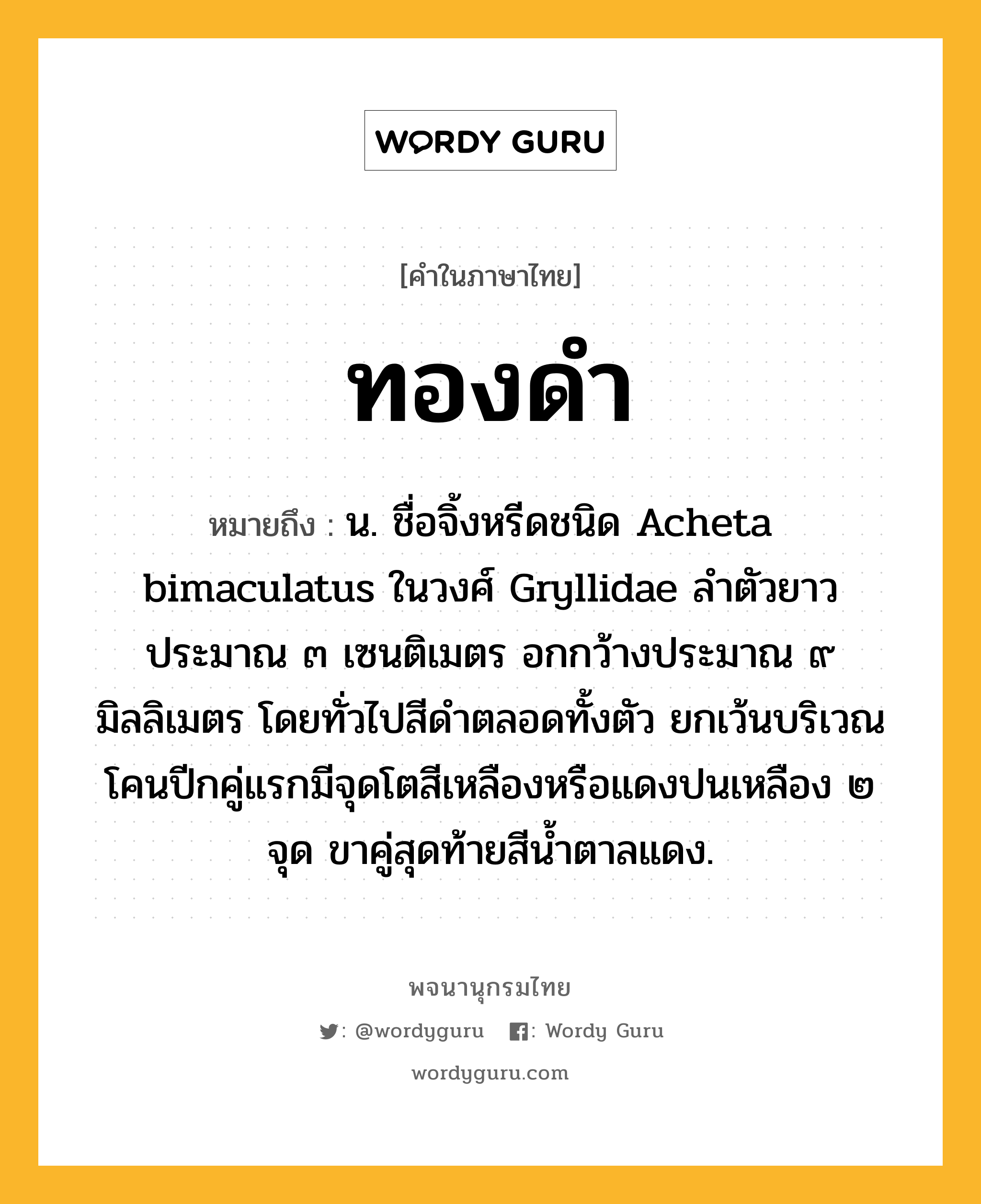 ทองดำ หมายถึงอะไร?, คำในภาษาไทย ทองดำ หมายถึง น. ชื่อจิ้งหรีดชนิด Acheta bimaculatus ในวงศ์ Gryllidae ลําตัวยาวประมาณ ๓ เซนติเมตร อกกว้างประมาณ ๙ มิลลิเมตร โดยทั่วไปสีดําตลอดทั้งตัว ยกเว้นบริเวณโคนปีกคู่แรกมีจุดโตสีเหลืองหรือแดงปนเหลือง ๒ จุด ขาคู่สุดท้ายสีนํ้าตาลแดง.