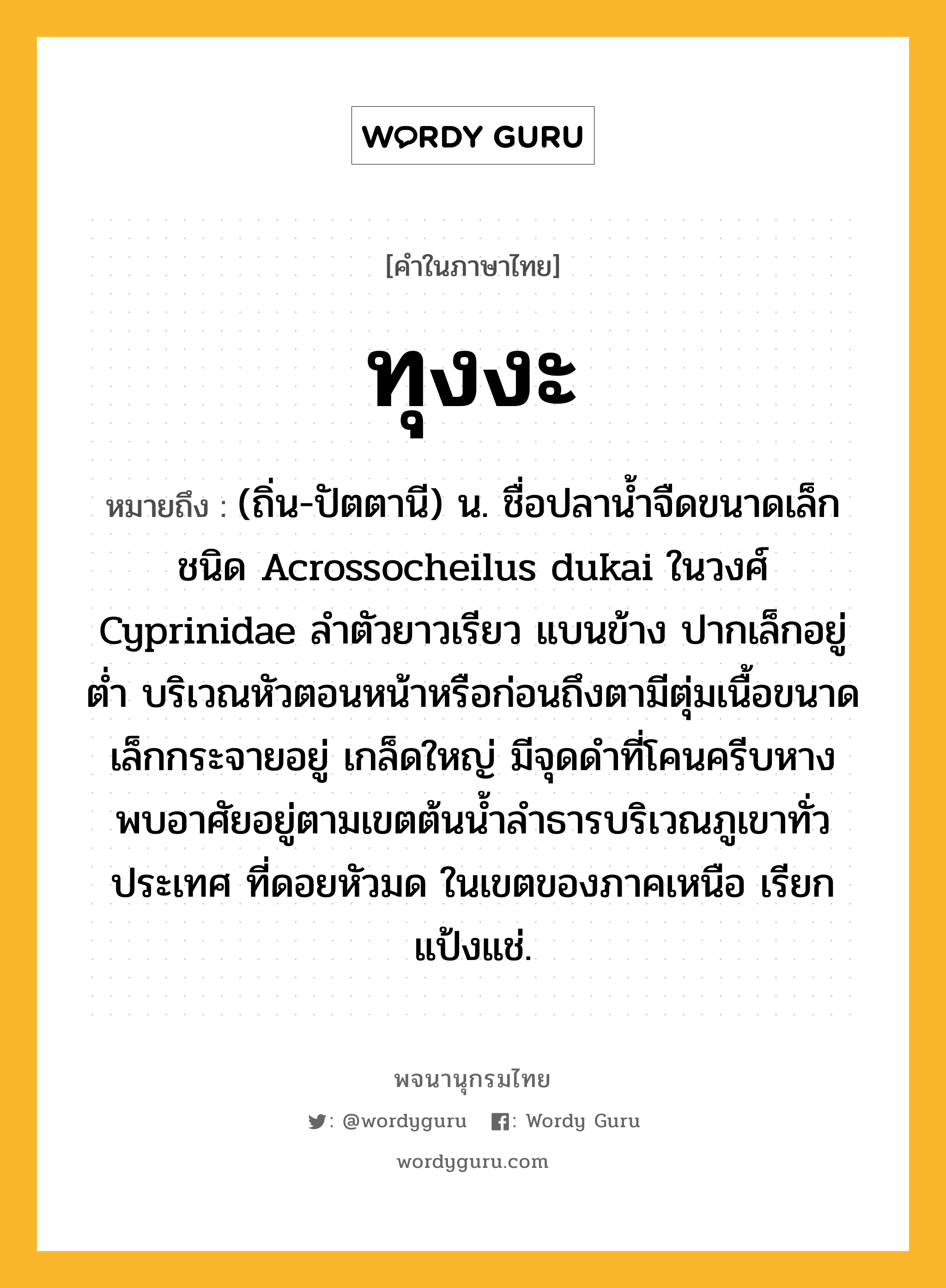 ทุงงะ หมายถึงอะไร?, คำในภาษาไทย ทุงงะ หมายถึง (ถิ่น-ปัตตานี) น. ชื่อปลานํ้าจืดขนาดเล็กชนิด Acrossocheilus dukai ในวงศ์ Cyprinidae ลําตัวยาวเรียว แบนข้าง ปากเล็กอยู่ตํ่า บริเวณหัวตอนหน้าหรือก่อนถึงตามีตุ่มเนื้อขนาดเล็กกระจายอยู่ เกล็ดใหญ่ มีจุดดําที่โคนครีบหาง พบอาศัยอยู่ตามเขตต้นนํ้าลําธารบริเวณภูเขาทั่วประเทศ ที่ดอยหัวมด ในเขตของภาคเหนือ เรียก แป้งแช่.