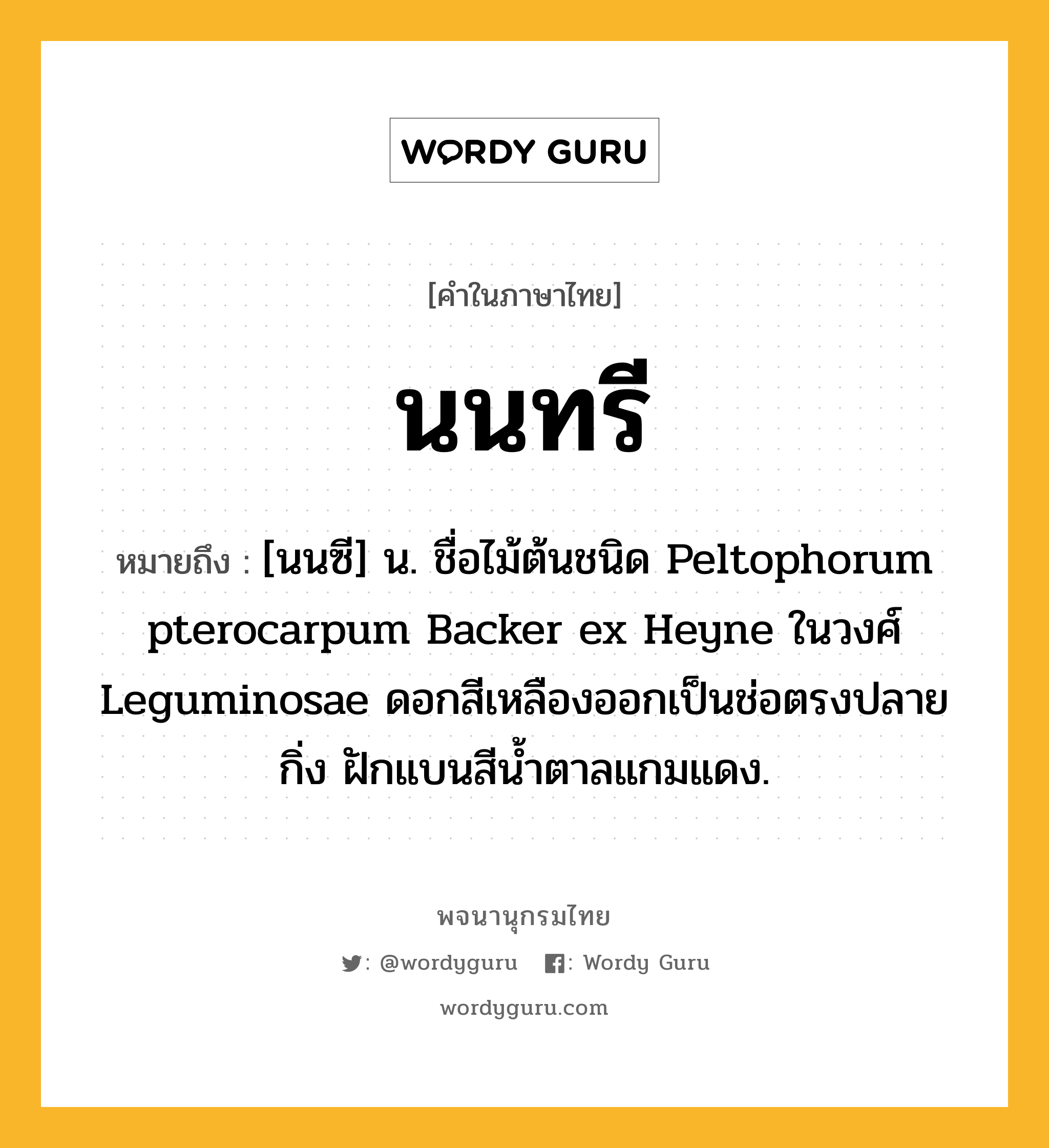 นนทรี หมายถึงอะไร?, คำในภาษาไทย นนทรี หมายถึง [นนซี] น. ชื่อไม้ต้นชนิด Peltophorum pterocarpum Backer ex Heyne ในวงศ์ Leguminosae ดอกสีเหลืองออกเป็นช่อตรงปลายกิ่ง ฝักแบนสีนํ้าตาลแกมแดง.