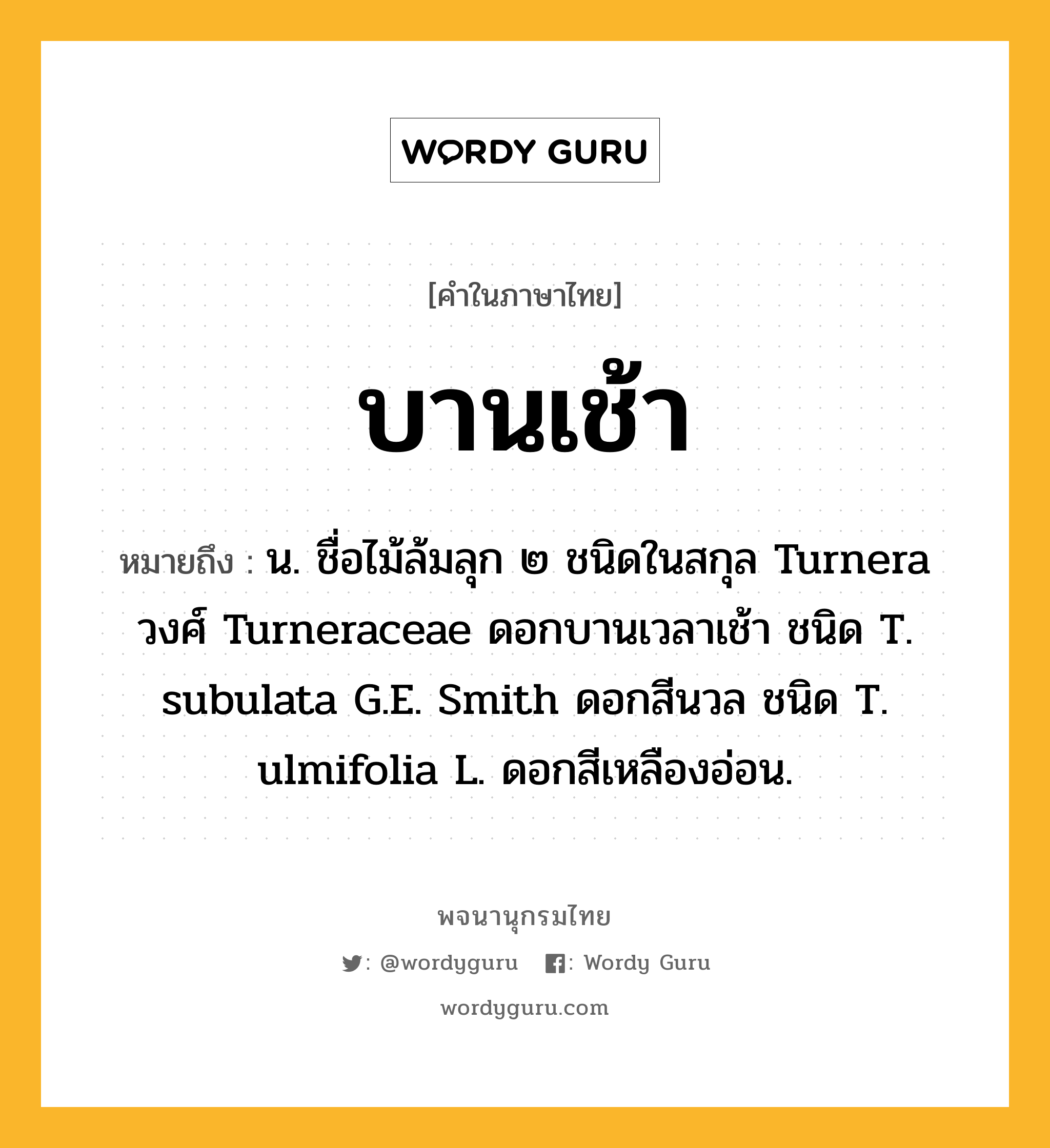 บานเช้า หมายถึงอะไร?, คำในภาษาไทย บานเช้า หมายถึง น. ชื่อไม้ล้มลุก ๒ ชนิดในสกุล Turnera วงศ์ Turneraceae ดอกบานเวลาเช้า ชนิด T. subulata G.E. Smith ดอกสีนวล ชนิด T. ulmifolia L. ดอกสีเหลืองอ่อน.