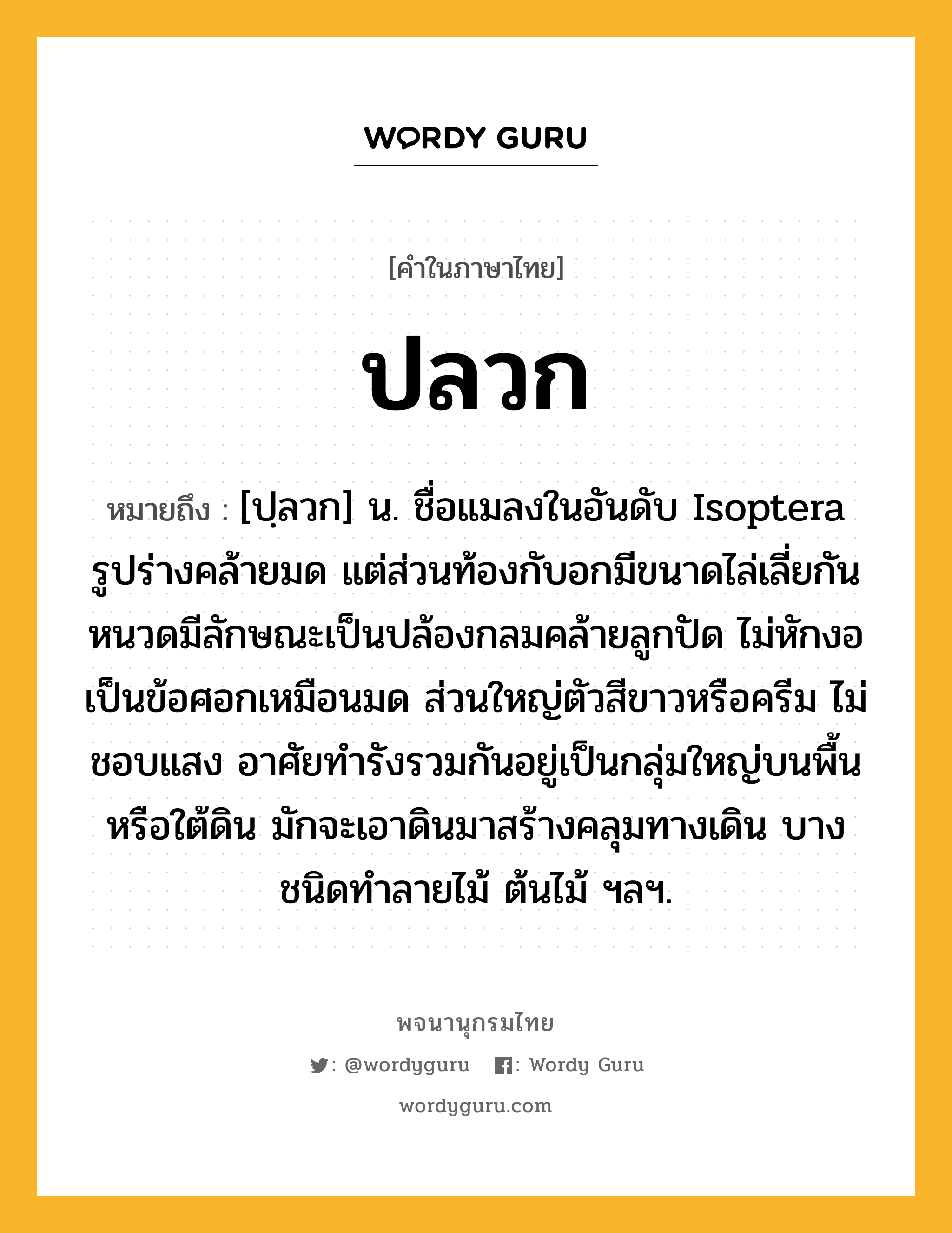 ปลวก หมายถึงอะไร?, คำในภาษาไทย ปลวก หมายถึง [ปฺลวก] น. ชื่อแมลงในอันดับ Isoptera รูปร่างคล้ายมด แต่ส่วนท้องกับอกมีขนาดไล่เลี่ยกัน หนวดมีลักษณะเป็นปล้องกลมคล้ายลูกปัด ไม่หักงอเป็นข้อศอกเหมือนมด ส่วนใหญ่ตัวสีขาวหรือครีม ไม่ชอบแสง อาศัยทํารังรวมกันอยู่เป็นกลุ่มใหญ่บนพื้นหรือใต้ดิน มักจะเอาดินมาสร้างคลุมทางเดิน บางชนิดทําลายไม้ ต้นไม้ ฯลฯ.