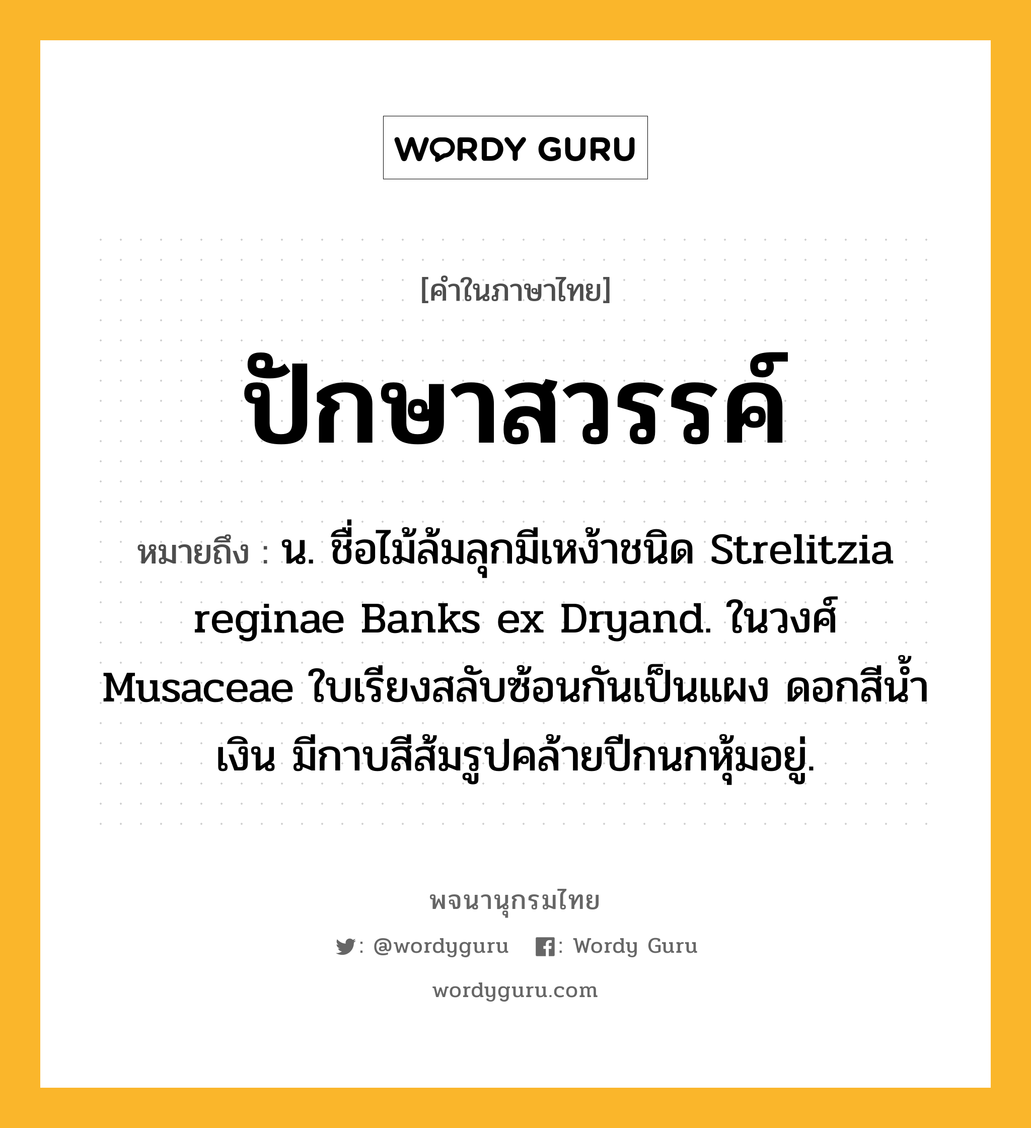 ปักษาสวรรค์ หมายถึงอะไร?, คำในภาษาไทย ปักษาสวรรค์ หมายถึง น. ชื่อไม้ล้มลุกมีเหง้าชนิด Strelitzia reginae Banks ex Dryand. ในวงศ์ Musaceae ใบเรียงสลับซ้อนกันเป็นแผง ดอกสีนํ้าเงิน มีกาบสีส้มรูปคล้ายปีกนกหุ้มอยู่.