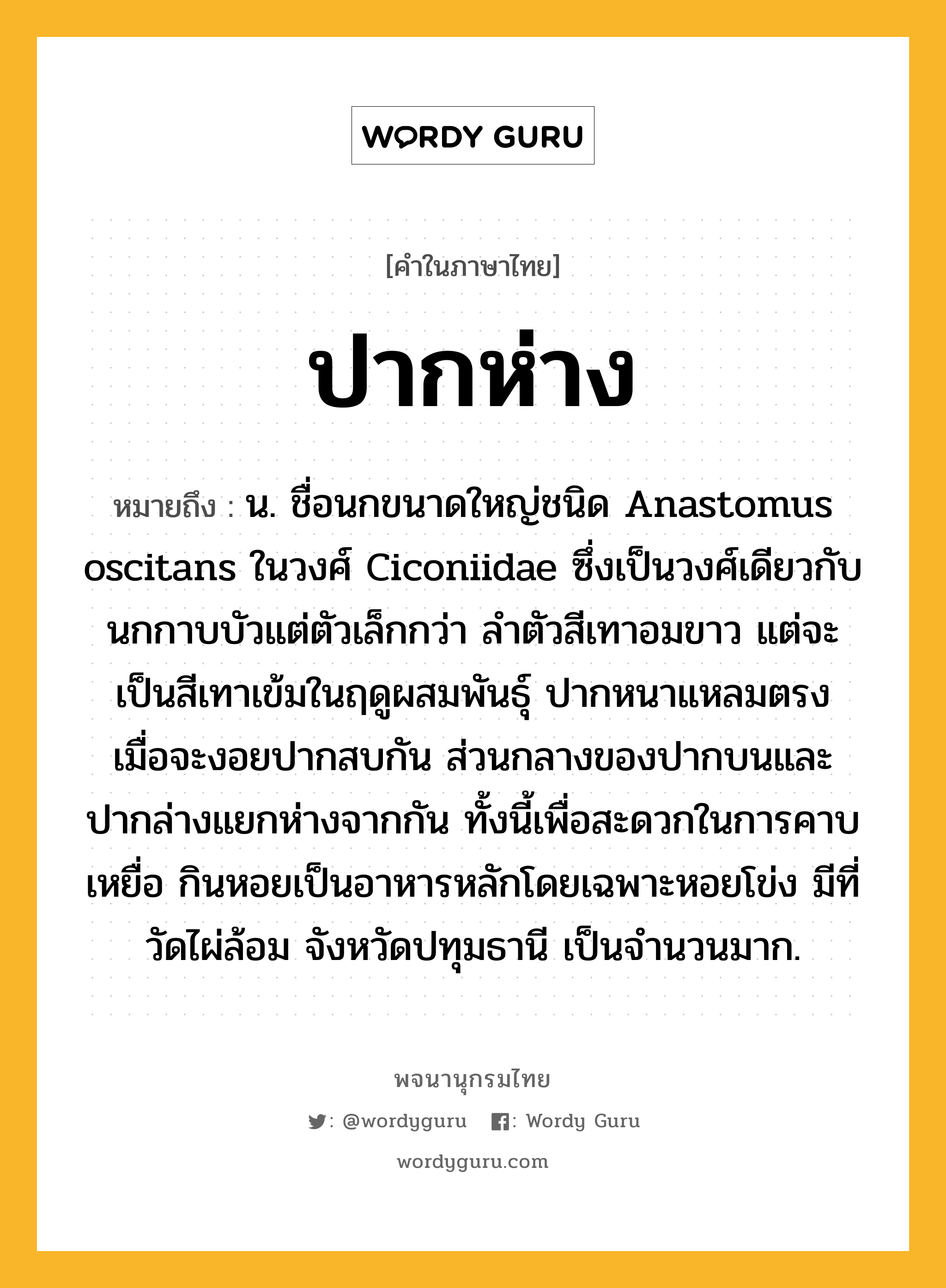 ปากห่าง หมายถึงอะไร?, คำในภาษาไทย ปากห่าง หมายถึง น. ชื่อนกขนาดใหญ่ชนิด Anastomus oscitans ในวงศ์ Ciconiidae ซึ่งเป็นวงศ์เดียวกับนกกาบบัวแต่ตัวเล็กกว่า ลําตัวสีเทาอมขาว แต่จะเป็นสีเทาเข้มในฤดูผสมพันธุ์ ปากหนาแหลมตรง เมื่อจะงอยปากสบกัน ส่วนกลางของปากบนและปากล่างแยกห่างจากกัน ทั้งนี้เพื่อสะดวกในการคาบเหยื่อ กินหอยเป็นอาหารหลักโดยเฉพาะหอยโข่ง มีที่วัดไผ่ล้อม จังหวัดปทุมธานี เป็นจํานวนมาก.