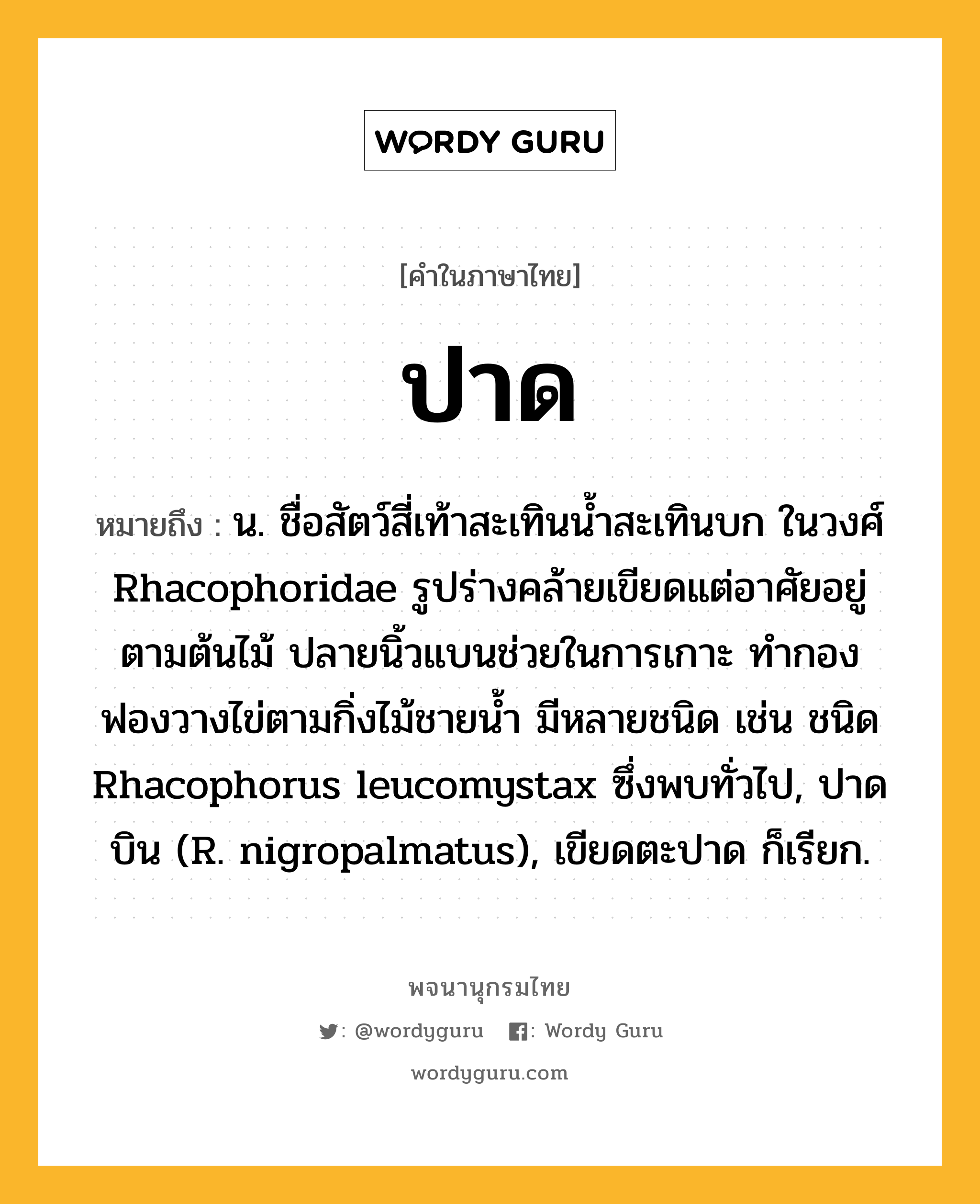 ปาด หมายถึงอะไร?, คำในภาษาไทย ปาด หมายถึง น. ชื่อสัตว์สี่เท้าสะเทินนํ้าสะเทินบก ในวงศ์ Rhacophoridae รูปร่างคล้ายเขียดแต่อาศัยอยู่ตามต้นไม้ ปลายนิ้วแบนช่วยในการเกาะ ทํากองฟองวางไข่ตามกิ่งไม้ชายนํ้า มีหลายชนิด เช่น ชนิด Rhacophorus leucomystax ซึ่งพบทั่วไป, ปาดบิน (R. nigropalmatus), เขียดตะปาด ก็เรียก.