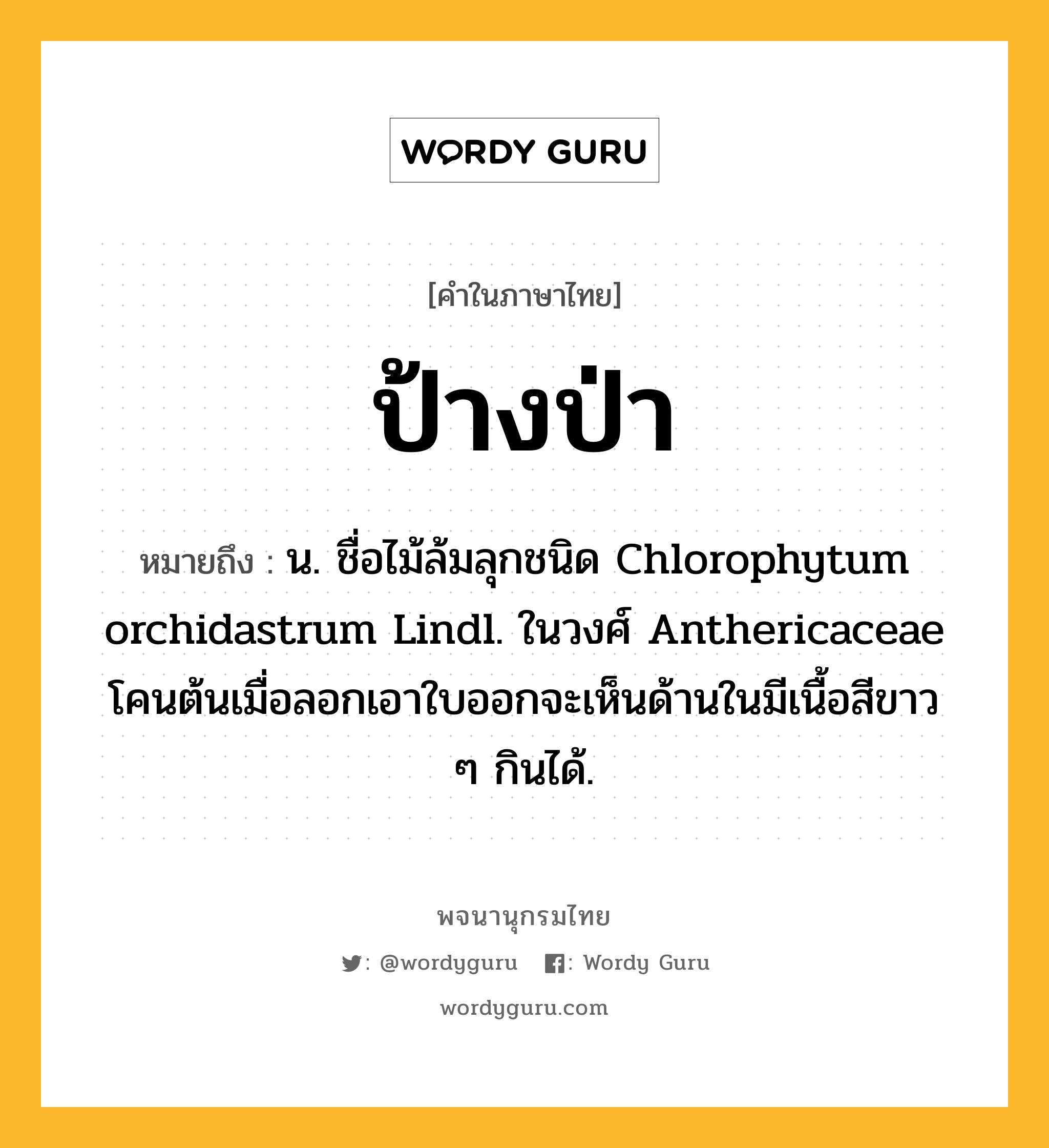 ป้างป่า หมายถึงอะไร?, คำในภาษาไทย ป้างป่า หมายถึง น. ชื่อไม้ล้มลุกชนิด Chlorophytum orchidastrum Lindl. ในวงศ์ Anthericaceae โคนต้นเมื่อลอกเอาใบออกจะเห็นด้านในมีเนื้อสีขาว ๆ กินได้.