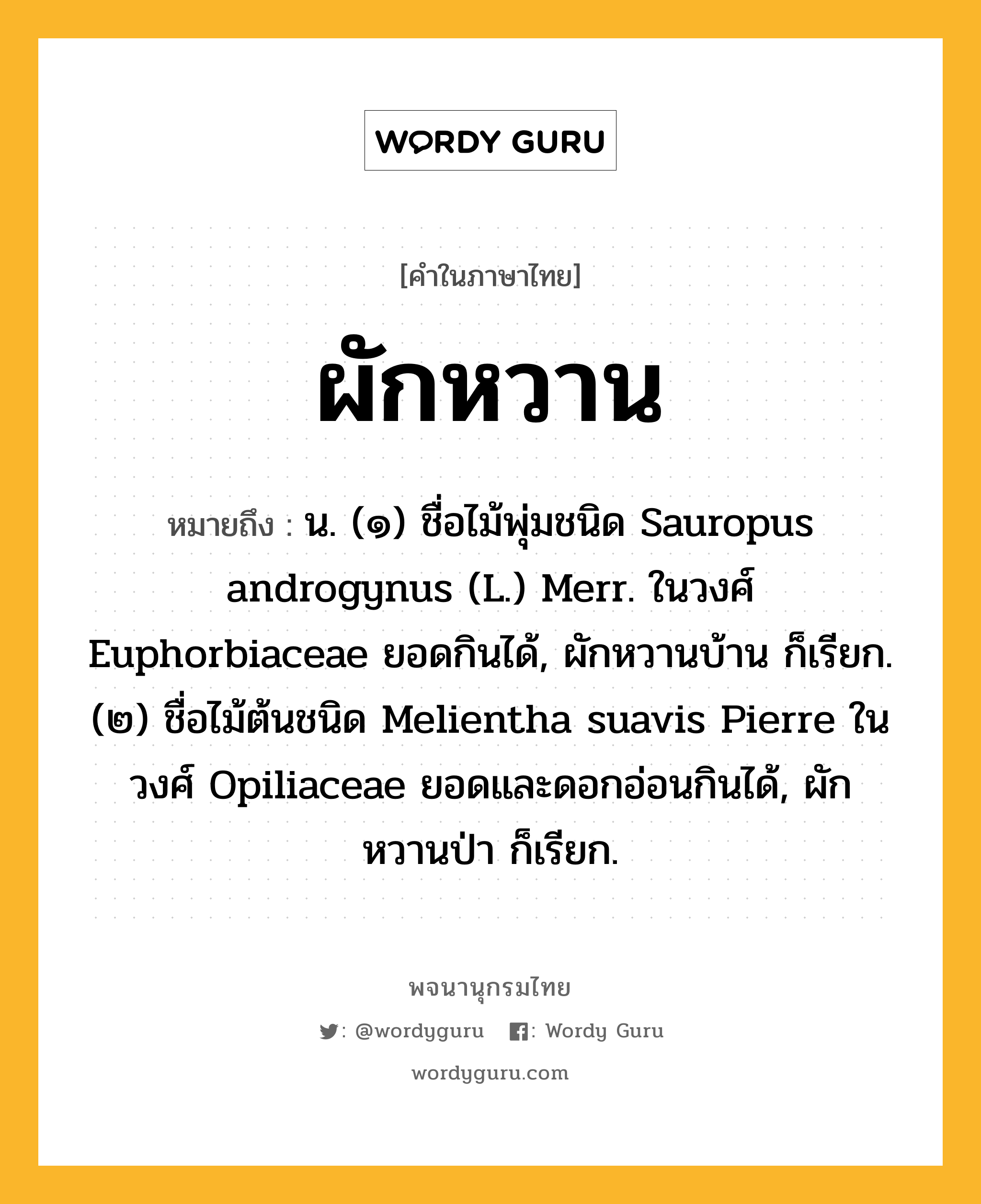 ผักหวาน หมายถึงอะไร?, คำในภาษาไทย ผักหวาน หมายถึง น. (๑) ชื่อไม้พุ่มชนิด Sauropus androgynus (L.) Merr. ในวงศ์ Euphorbiaceae ยอดกินได้, ผักหวานบ้าน ก็เรียก. (๒) ชื่อไม้ต้นชนิด Melientha suavis Pierre ในวงศ์ Opiliaceae ยอดและดอกอ่อนกินได้, ผักหวานป่า ก็เรียก.