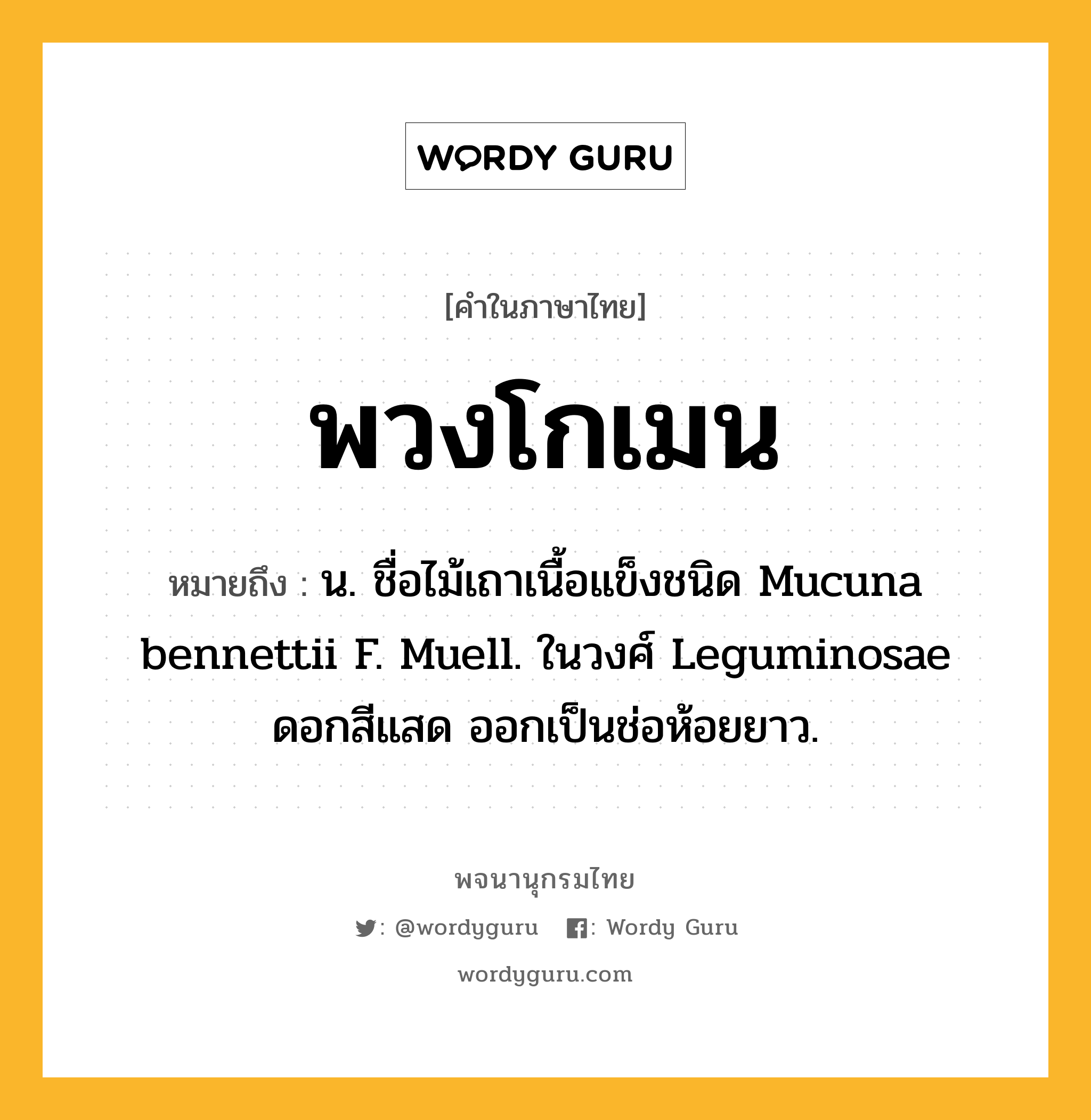 พวงโกเมน หมายถึงอะไร?, คำในภาษาไทย พวงโกเมน หมายถึง น. ชื่อไม้เถาเนื้อแข็งชนิด Mucuna bennettii F. Muell. ในวงศ์ Leguminosae ดอกสีแสด ออกเป็นช่อห้อยยาว.