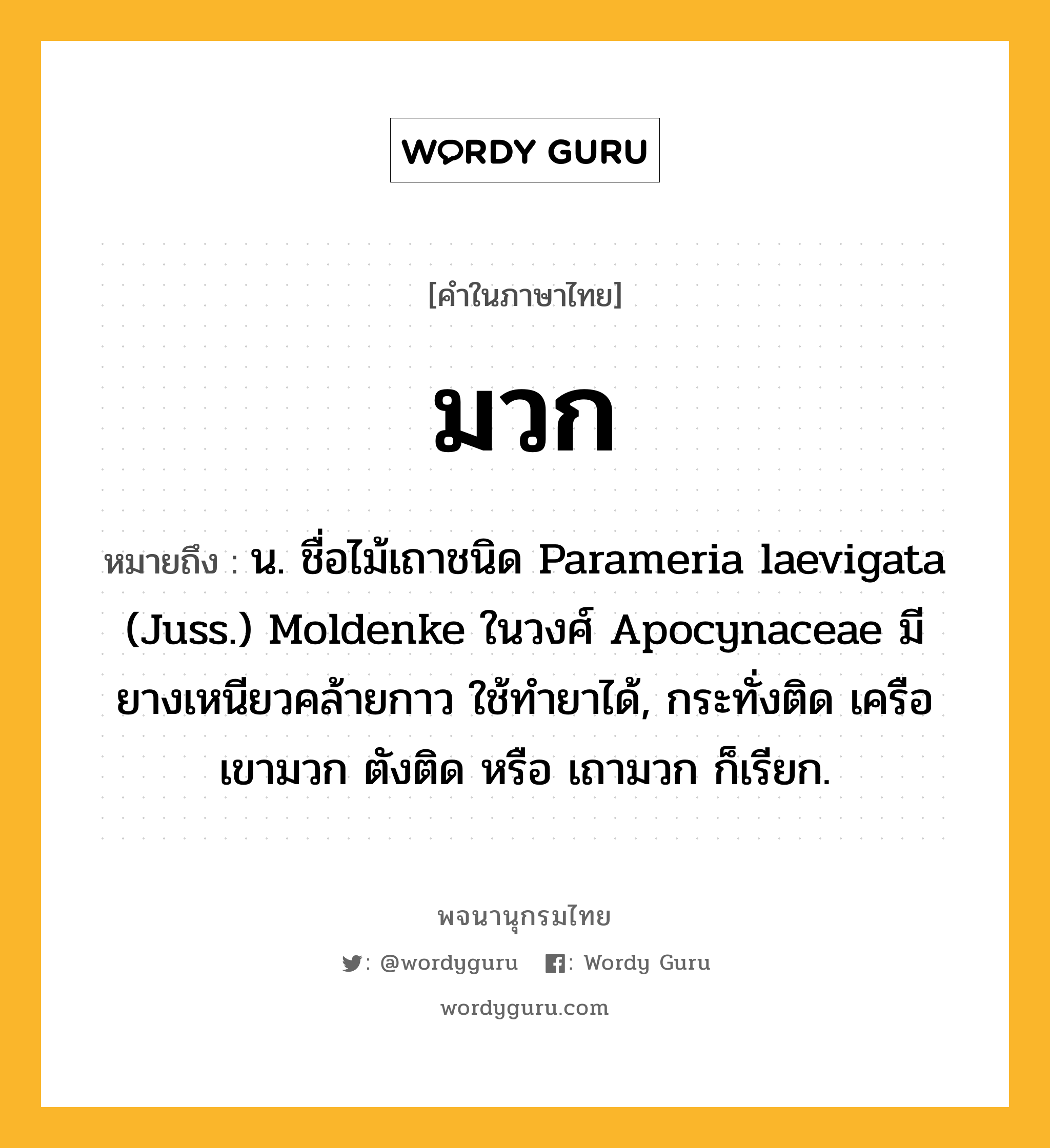 มวก หมายถึงอะไร?, คำในภาษาไทย มวก หมายถึง น. ชื่อไม้เถาชนิด Parameria laevigata (Juss.) Moldenke ในวงศ์ Apocynaceae มียางเหนียวคล้ายกาว ใช้ทํายาได้, กระทั่งติด เครือเขามวก ตังติด หรือ เถามวก ก็เรียก.