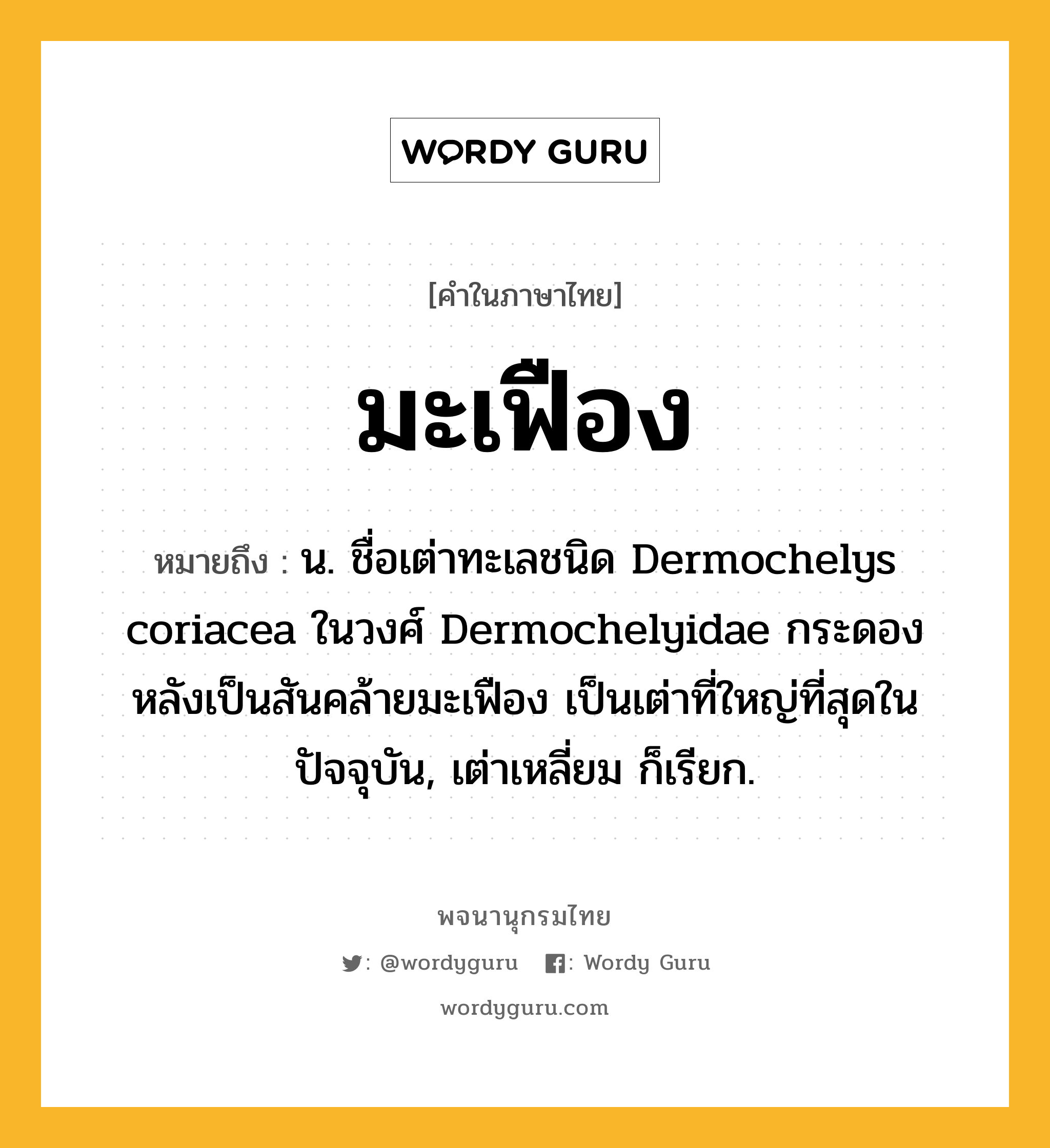 มะเฟือง หมายถึงอะไร?, คำในภาษาไทย มะเฟือง หมายถึง น. ชื่อเต่าทะเลชนิด Dermochelys coriacea ในวงศ์ Dermochelyidae กระดองหลังเป็นสันคล้ายมะเฟือง เป็นเต่าที่ใหญ่ที่สุดในปัจจุบัน, เต่าเหลี่ยม ก็เรียก.