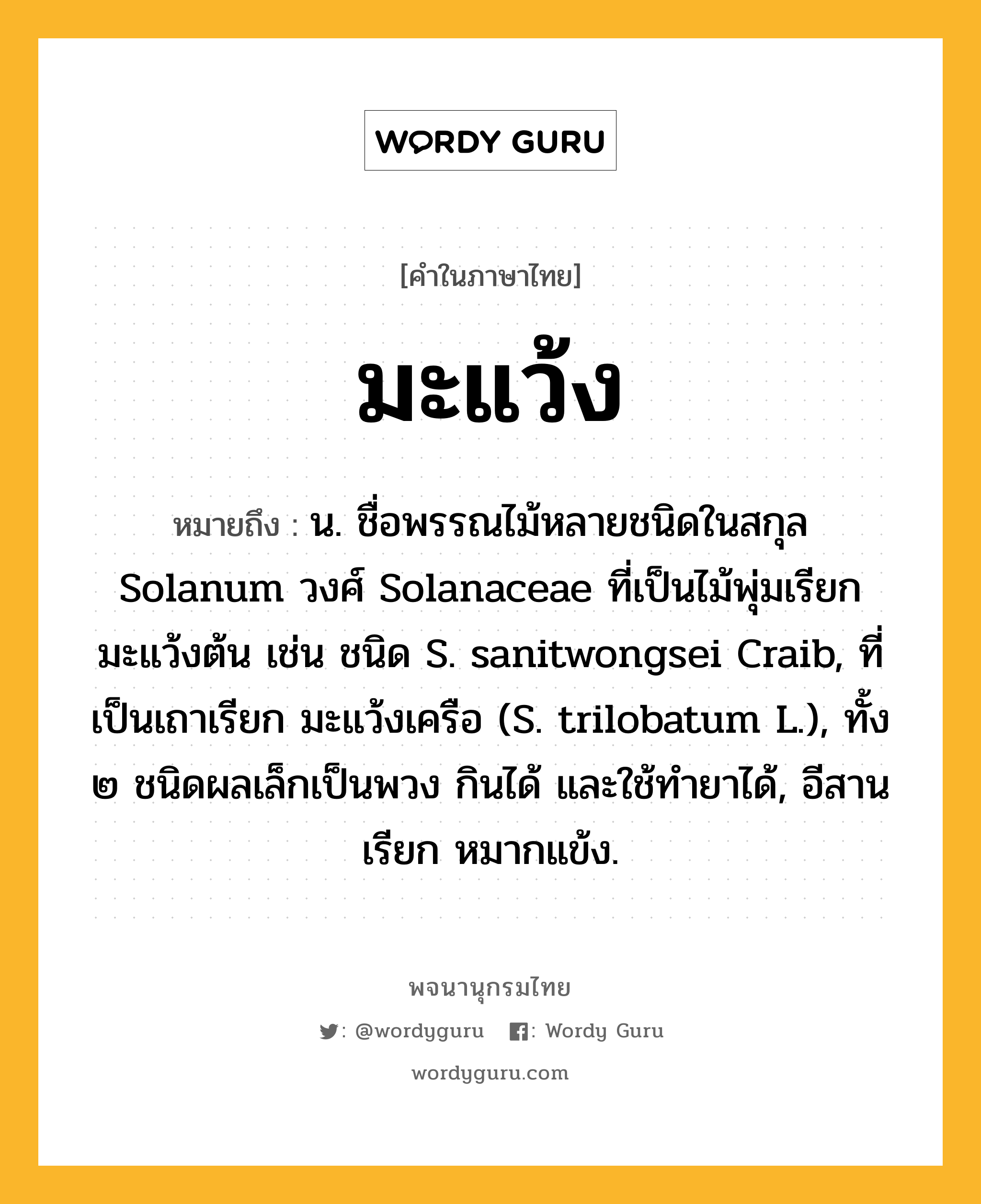 มะแว้ง หมายถึงอะไร?, คำในภาษาไทย มะแว้ง หมายถึง น. ชื่อพรรณไม้หลายชนิดในสกุล Solanum วงศ์ Solanaceae ที่เป็นไม้พุ่มเรียก มะแว้งต้น เช่น ชนิด S. sanitwongsei Craib, ที่เป็นเถาเรียก มะแว้งเครือ (S. trilobatum L.), ทั้ง ๒ ชนิดผลเล็กเป็นพวง กินได้ และใช้ทํายาได้, อีสานเรียก หมากแข้ง.