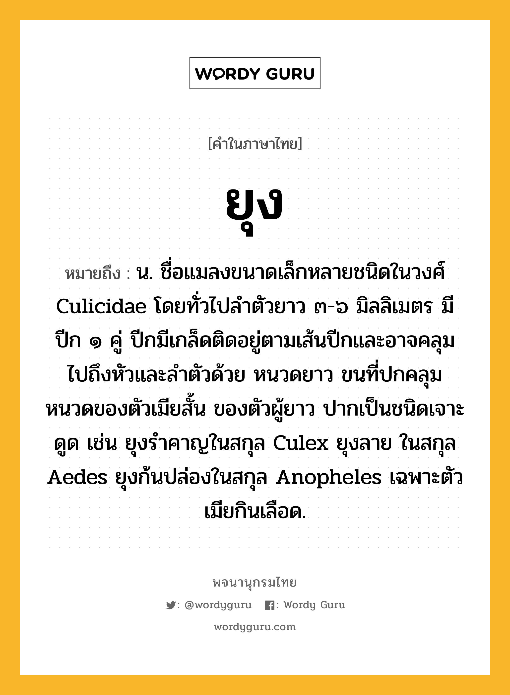 ยุง หมายถึงอะไร?, คำในภาษาไทย ยุง หมายถึง น. ชื่อแมลงขนาดเล็กหลายชนิดในวงศ์ Culicidae โดยทั่วไปลําตัวยาว ๓-๖ มิลลิเมตร มีปีก ๑ คู่ ปีกมีเกล็ดติดอยู่ตามเส้นปีกและอาจคลุมไปถึงหัวและลําตัวด้วย หนวดยาว ขนที่ปกคลุมหนวดของตัวเมียสั้น ของตัวผู้ยาว ปากเป็นชนิดเจาะดูด เช่น ยุงรําคาญในสกุล Culex ยุงลาย ในสกุล Aedes ยุงก้นปล่องในสกุล Anopheles เฉพาะตัวเมียกินเลือด.