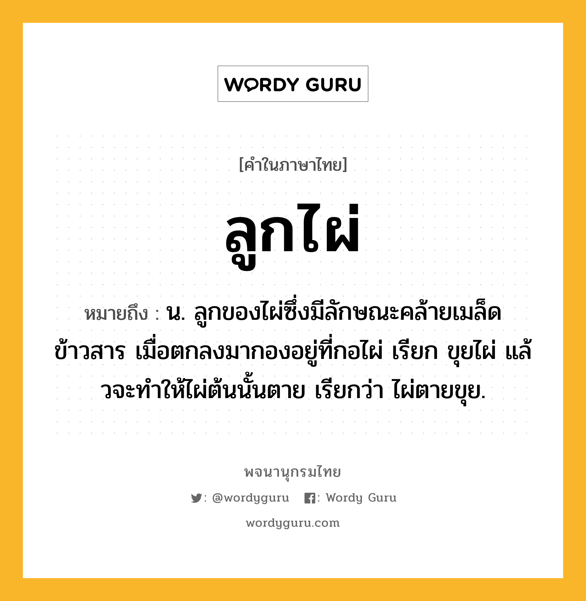 ลูกไผ่ หมายถึงอะไร?, คำในภาษาไทย ลูกไผ่ หมายถึง น. ลูกของไผ่ซึ่งมีลักษณะคล้ายเมล็ดข้าวสาร เมื่อตกลงมากองอยู่ที่กอไผ่ เรียก ขุยไผ่ แล้วจะทําให้ไผ่ต้นนั้นตาย เรียกว่า ไผ่ตายขุย.