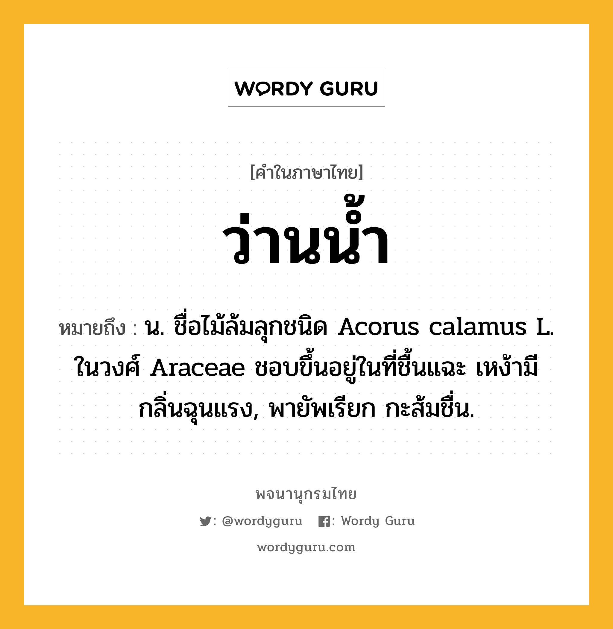 ว่านน้ำ หมายถึงอะไร?, คำในภาษาไทย ว่านน้ำ หมายถึง น. ชื่อไม้ล้มลุกชนิด Acorus calamus L. ในวงศ์ Araceae ชอบขึ้นอยู่ในที่ชื้นแฉะ เหง้ามีกลิ่นฉุนแรง, พายัพเรียก กะส้มชื่น.