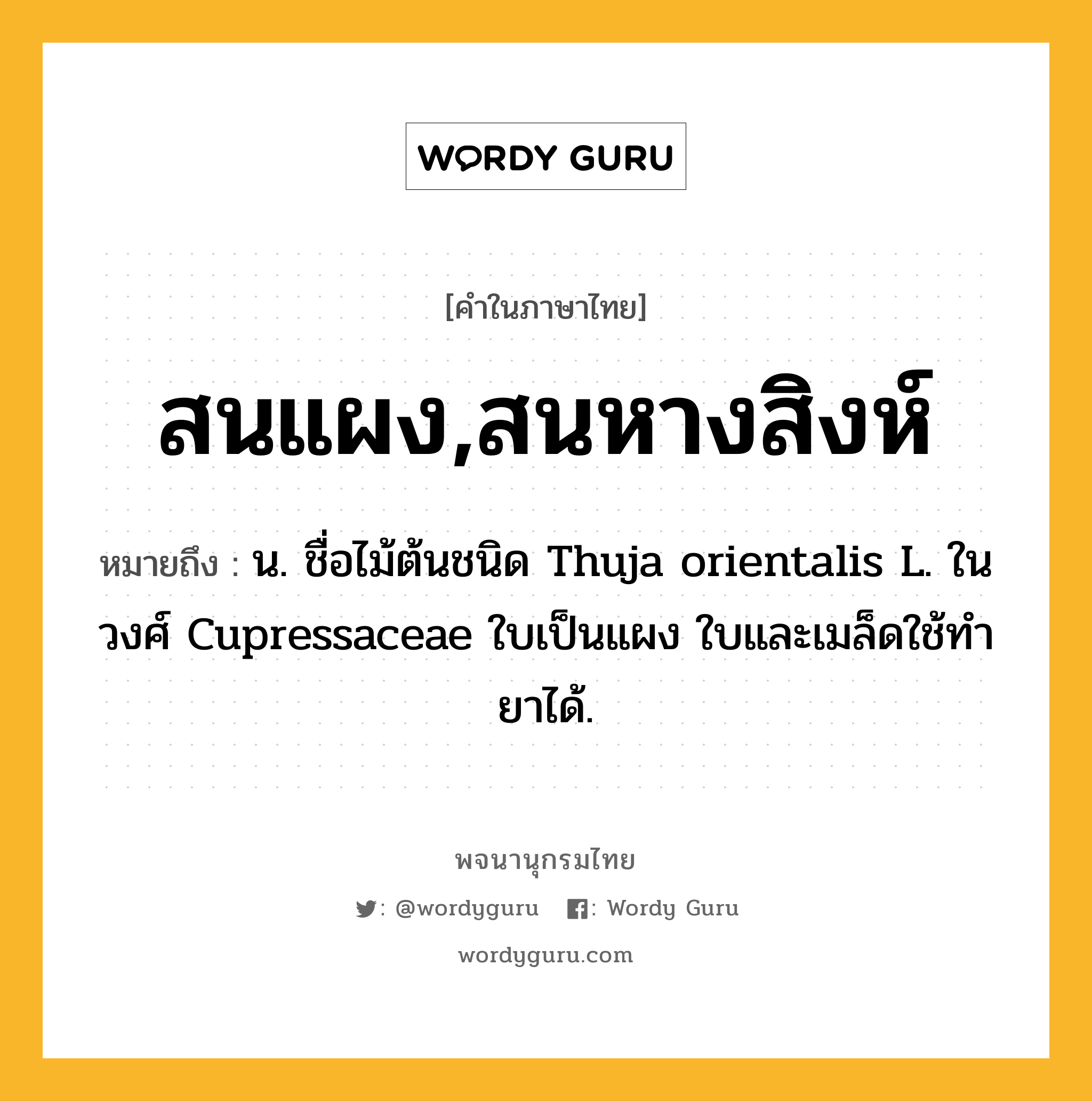 สนแผง,สนหางสิงห์ หมายถึงอะไร?, คำในภาษาไทย สนแผง,สนหางสิงห์ หมายถึง น. ชื่อไม้ต้นชนิด Thuja orientalis L. ในวงศ์ Cupressaceae ใบเป็นแผง ใบและเมล็ดใช้ทํายาได้.