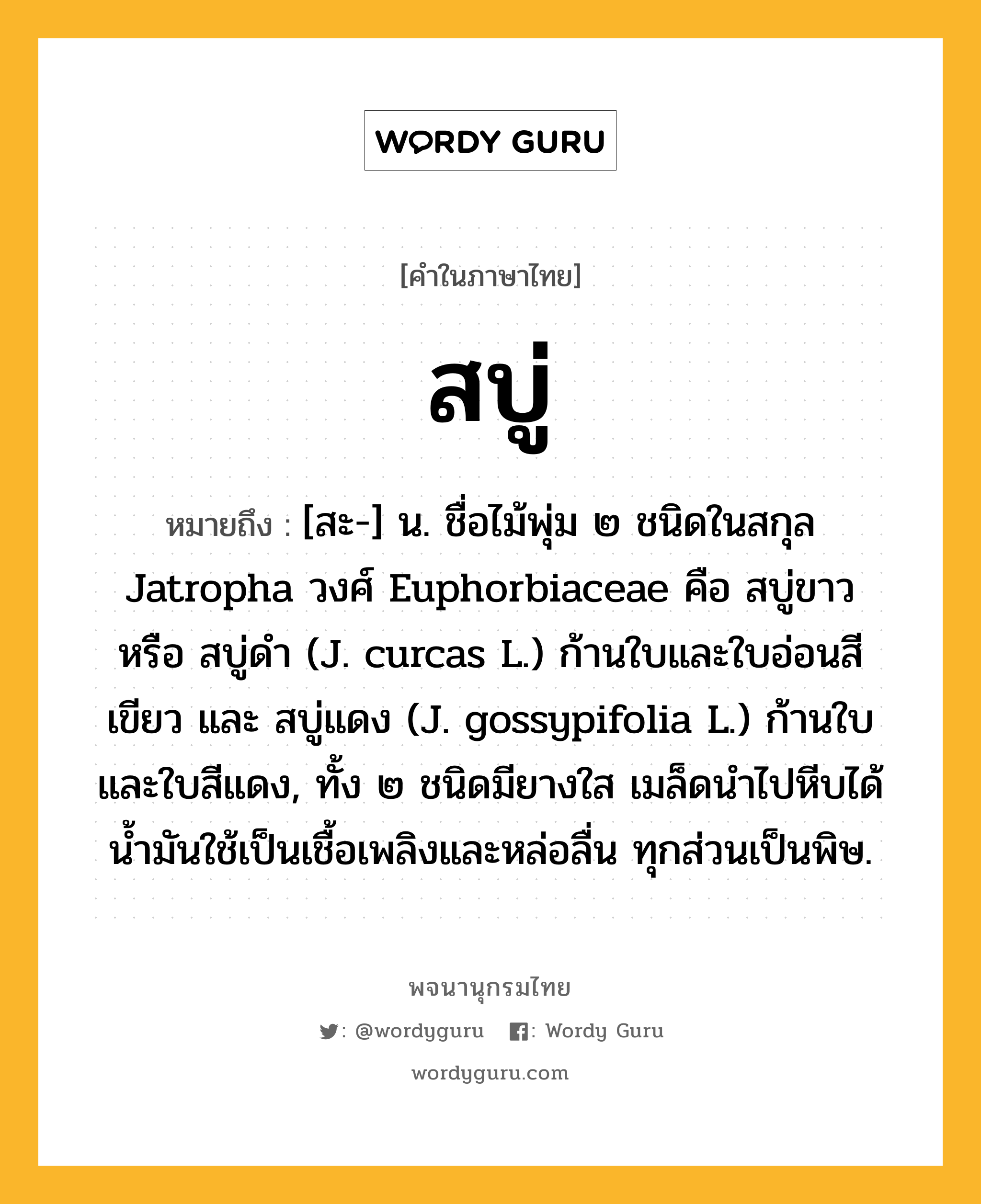 สบู่ หมายถึงอะไร?, คำในภาษาไทย สบู่ หมายถึง [สะ-] น. ชื่อไม้พุ่ม ๒ ชนิดในสกุล Jatropha วงศ์ Euphorbiaceae คือ สบู่ขาว หรือ สบู่ดํา (J. curcas L.) ก้านใบและใบอ่อนสีเขียว และ สบู่แดง (J. gossypifolia L.) ก้านใบและใบสีแดง, ทั้ง ๒ ชนิดมียางใส เมล็ดนําไปหีบได้นํ้ามันใช้เป็นเชื้อเพลิงและหล่อลื่น ทุกส่วนเป็นพิษ.