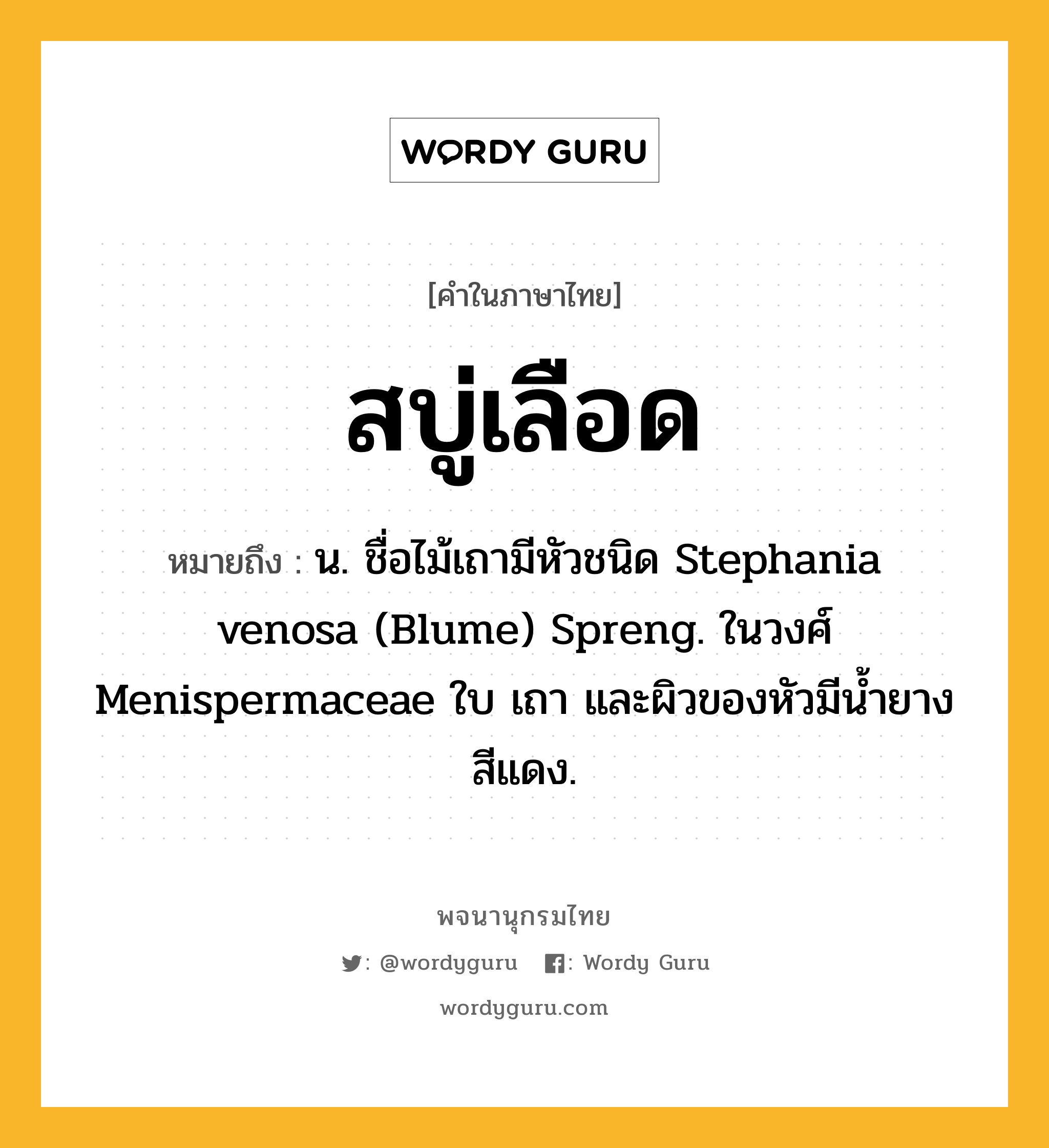 สบู่เลือด หมายถึงอะไร?, คำในภาษาไทย สบู่เลือด หมายถึง น. ชื่อไม้เถามีหัวชนิด Stephania venosa (Blume) Spreng. ในวงศ์ Menispermaceae ใบ เถา และผิวของหัวมีนํ้ายางสีแดง.