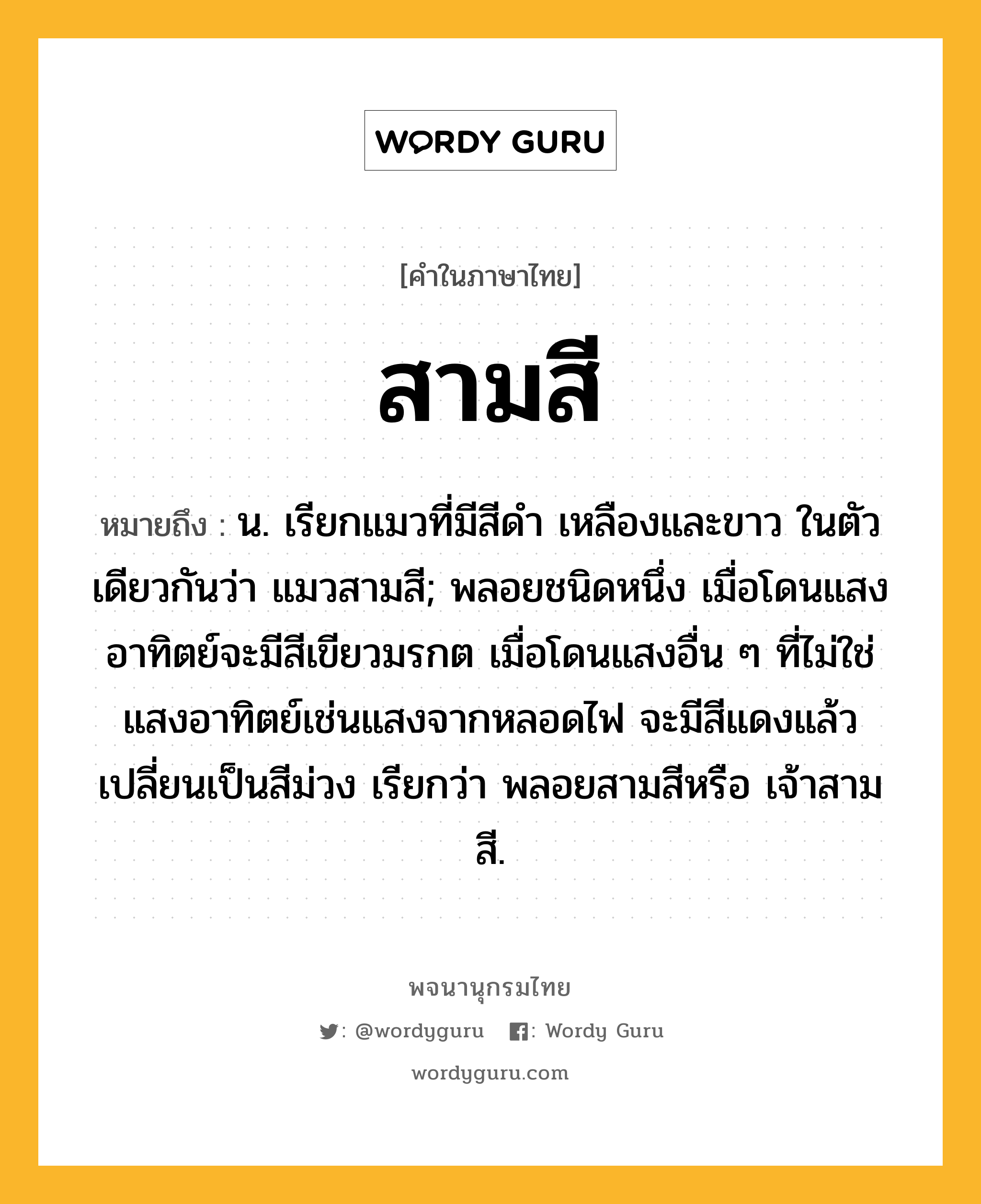 สามสี หมายถึงอะไร?, คำในภาษาไทย สามสี หมายถึง น. เรียกแมวที่มีสีดำ เหลืองและขาว ในตัวเดียวกันว่า แมวสามสี; พลอยชนิดหนึ่ง เมื่อโดนแสงอาทิตย์จะมีสีเขียวมรกต เมื่อโดนแสงอื่น ๆ ที่ไม่ใช่แสงอาทิตย์เช่นแสงจากหลอดไฟ จะมีสีแดงแล้วเปลี่ยนเป็นสีม่วง เรียกว่า พลอยสามสีหรือ เจ้าสามสี.