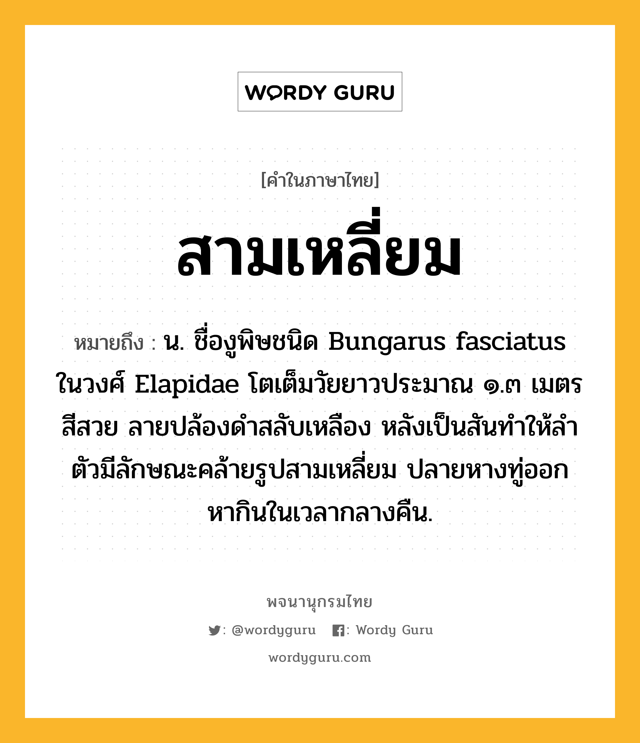 สามเหลี่ยม หมายถึงอะไร?, คำในภาษาไทย สามเหลี่ยม หมายถึง น. ชื่องูพิษชนิด Bungarus fasciatus ในวงศ์ Elapidae โตเต็มวัยยาวประมาณ ๑.๓ เมตร สีสวย ลายปล้องดําสลับเหลือง หลังเป็นสันทําให้ลําตัวมีลักษณะคล้ายรูปสามเหลี่ยม ปลายหางทู่ออกหากินในเวลากลางคืน.