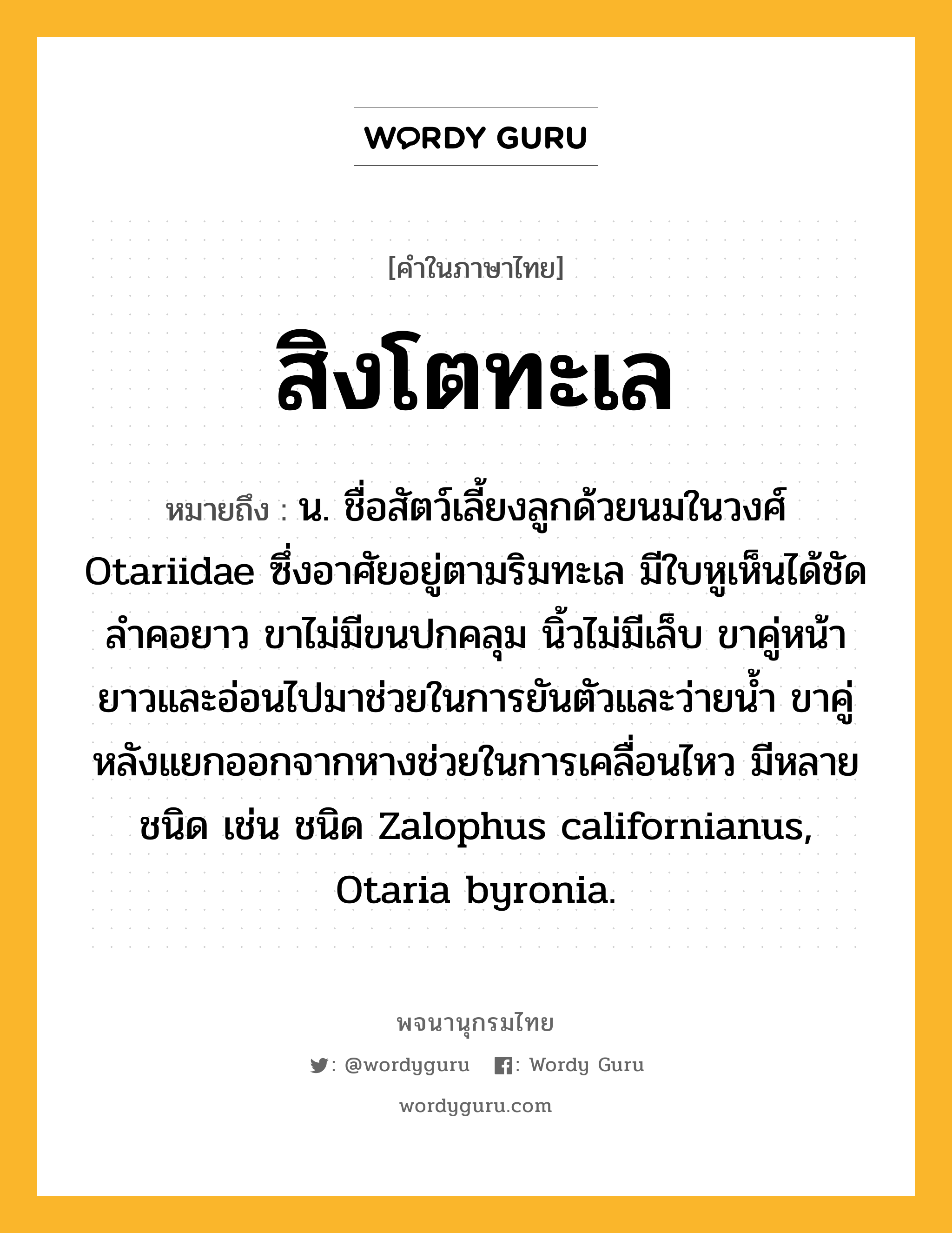 สิงโตทะเล หมายถึงอะไร?, คำในภาษาไทย สิงโตทะเล หมายถึง น. ชื่อสัตว์เลี้ยงลูกด้วยนมในวงศ์ Otariidae ซึ่งอาศัยอยู่ตามริมทะเล มีใบหูเห็นได้ชัด ลําคอยาว ขาไม่มีขนปกคลุม นิ้วไม่มีเล็บ ขาคู่หน้ายาวและอ่อนไปมาช่วยในการยันตัวและว่ายนํ้า ขาคู่หลังแยกออกจากหางช่วยในการเคลื่อนไหว มีหลายชนิด เช่น ชนิด Zalophus californianus, Otaria byronia.