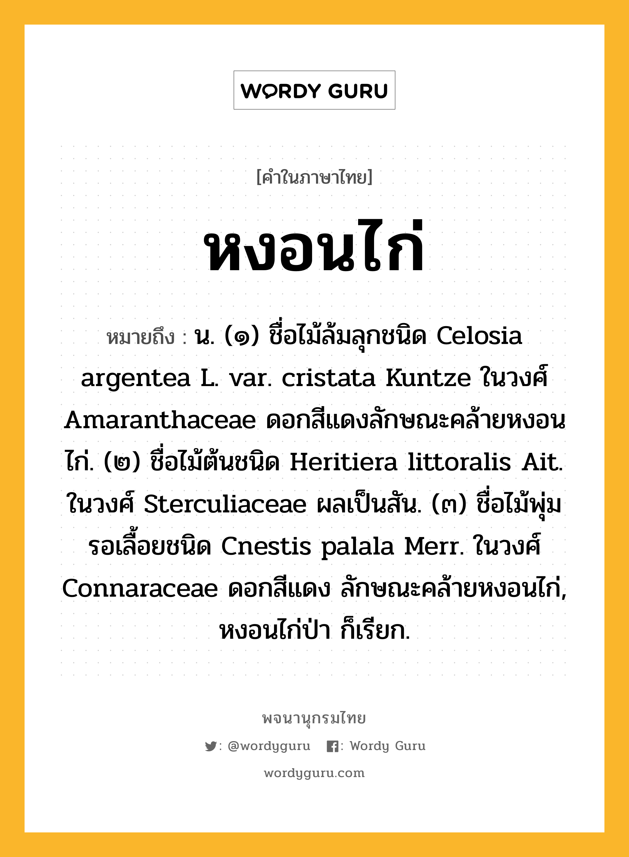 หงอนไก่ หมายถึงอะไร?, คำในภาษาไทย หงอนไก่ หมายถึง น. (๑) ชื่อไม้ล้มลุกชนิด Celosia argentea L. var. cristata Kuntze ในวงศ์ Amaranthaceae ดอกสีแดงลักษณะคล้ายหงอนไก่. (๒) ชื่อไม้ต้นชนิด Heritiera littoralis Ait. ในวงศ์ Sterculiaceae ผลเป็นสัน. (๓) ชื่อไม้พุ่มรอเลื้อยชนิด Cnestis palala Merr. ในวงศ์ Connaraceae ดอกสีแดง ลักษณะคล้ายหงอนไก่, หงอนไก่ป่า ก็เรียก.