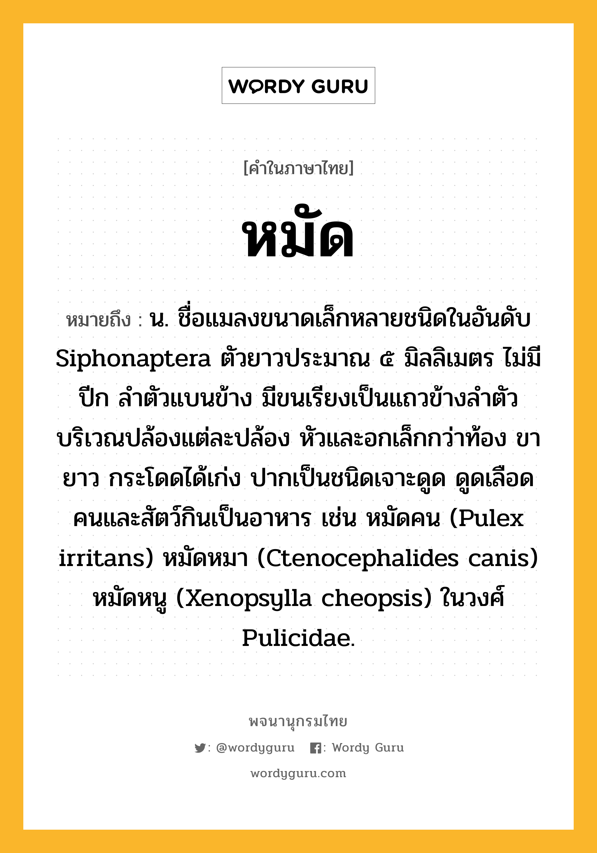 หมัด หมายถึงอะไร?, คำในภาษาไทย หมัด หมายถึง น. ชื่อแมลงขนาดเล็กหลายชนิดในอันดับ Siphonaptera ตัวยาวประมาณ ๕ มิลลิเมตร ไม่มีปีก ลําตัวแบนข้าง มีขนเรียงเป็นแถวข้างลําตัวบริเวณปล้องแต่ละปล้อง หัวและอกเล็กกว่าท้อง ขายาว กระโดดได้เก่ง ปากเป็นชนิดเจาะดูด ดูดเลือดคนและสัตว์กินเป็นอาหาร เช่น หมัดคน (Pulex irritans) หมัดหมา (Ctenocephalides canis) หมัดหนู (Xenopsylla cheopsis) ในวงศ์ Pulicidae.