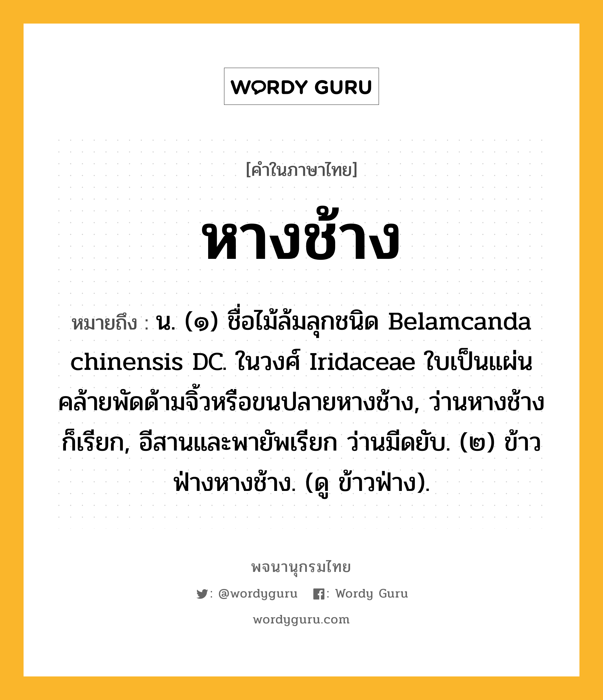 หางช้าง หมายถึงอะไร?, คำในภาษาไทย หางช้าง หมายถึง น. (๑) ชื่อไม้ล้มลุกชนิด Belamcanda chinensis DC. ในวงศ์ Iridaceae ใบเป็นแผ่นคล้ายพัดด้ามจิ้วหรือขนปลายหางช้าง, ว่านหางช้าง ก็เรียก, อีสานและพายัพเรียก ว่านมีดยับ. (๒) ข้าวฟ่างหางช้าง. (ดู ข้าวฟ่าง).