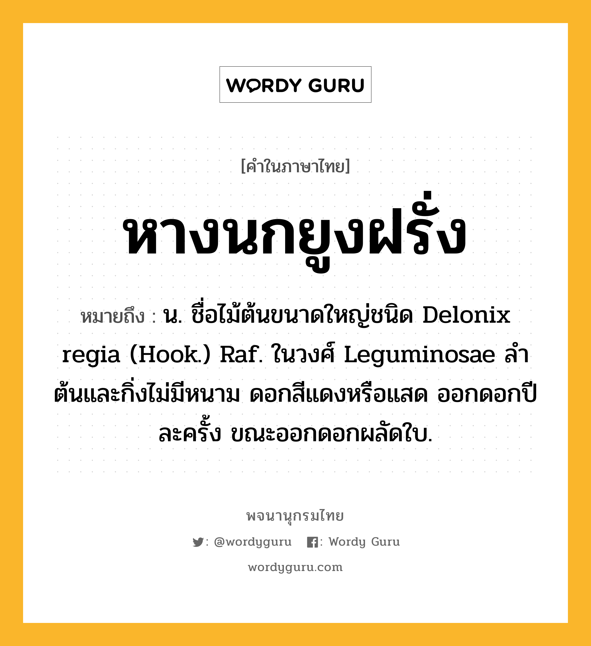 หางนกยูงฝรั่ง หมายถึงอะไร?, คำในภาษาไทย หางนกยูงฝรั่ง หมายถึง น. ชื่อไม้ต้นขนาดใหญ่ชนิด Delonix regia (Hook.) Raf. ในวงศ์ Leguminosae ลําต้นและกิ่งไม่มีหนาม ดอกสีแดงหรือแสด ออกดอกปีละครั้ง ขณะออกดอกผลัดใบ.