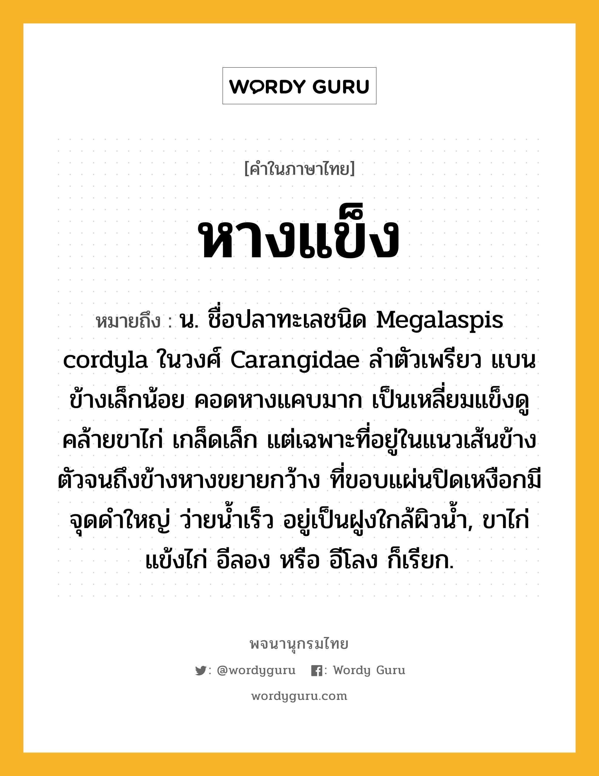 หางแข็ง หมายถึงอะไร?, คำในภาษาไทย หางแข็ง หมายถึง น. ชื่อปลาทะเลชนิด Megalaspis cordyla ในวงศ์ Carangidae ลำตัวเพรียว แบนข้างเล็กน้อย คอดหางแคบมาก เป็นเหลี่ยมแข็งดูคล้ายขาไก่ เกล็ดเล็ก แต่เฉพาะที่อยู่ในแนวเส้นข้างตัวจนถึงข้างหางขยายกว้าง ที่ขอบแผ่นปิดเหงือกมีจุดดำใหญ่ ว่ายน้ำเร็ว อยู่เป็นฝูงใกล้ผิวน้ำ, ขาไก่ แข้งไก่ อีลอง หรือ อีโลง ก็เรียก.